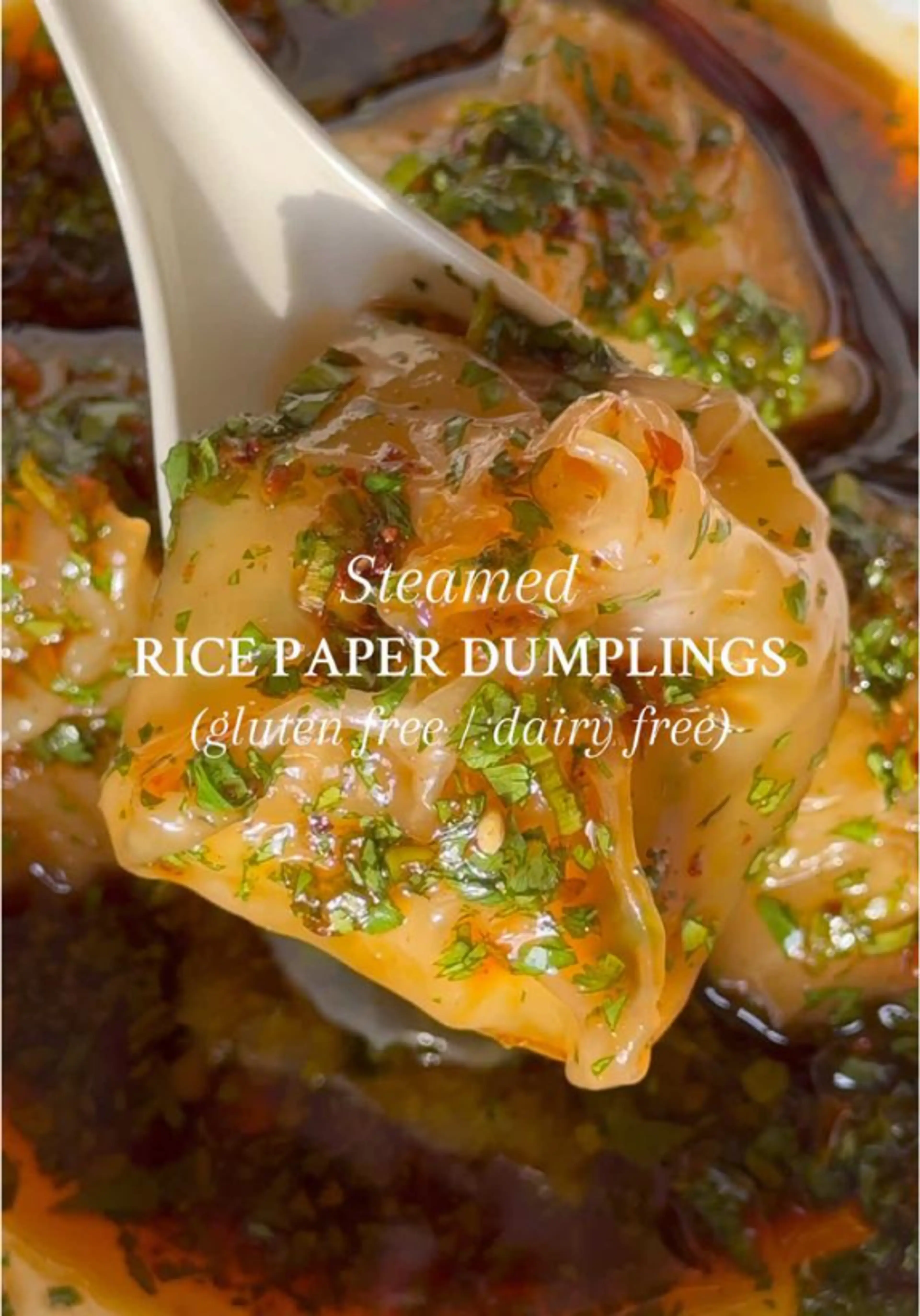 Steamed Rice Paper Dumplings