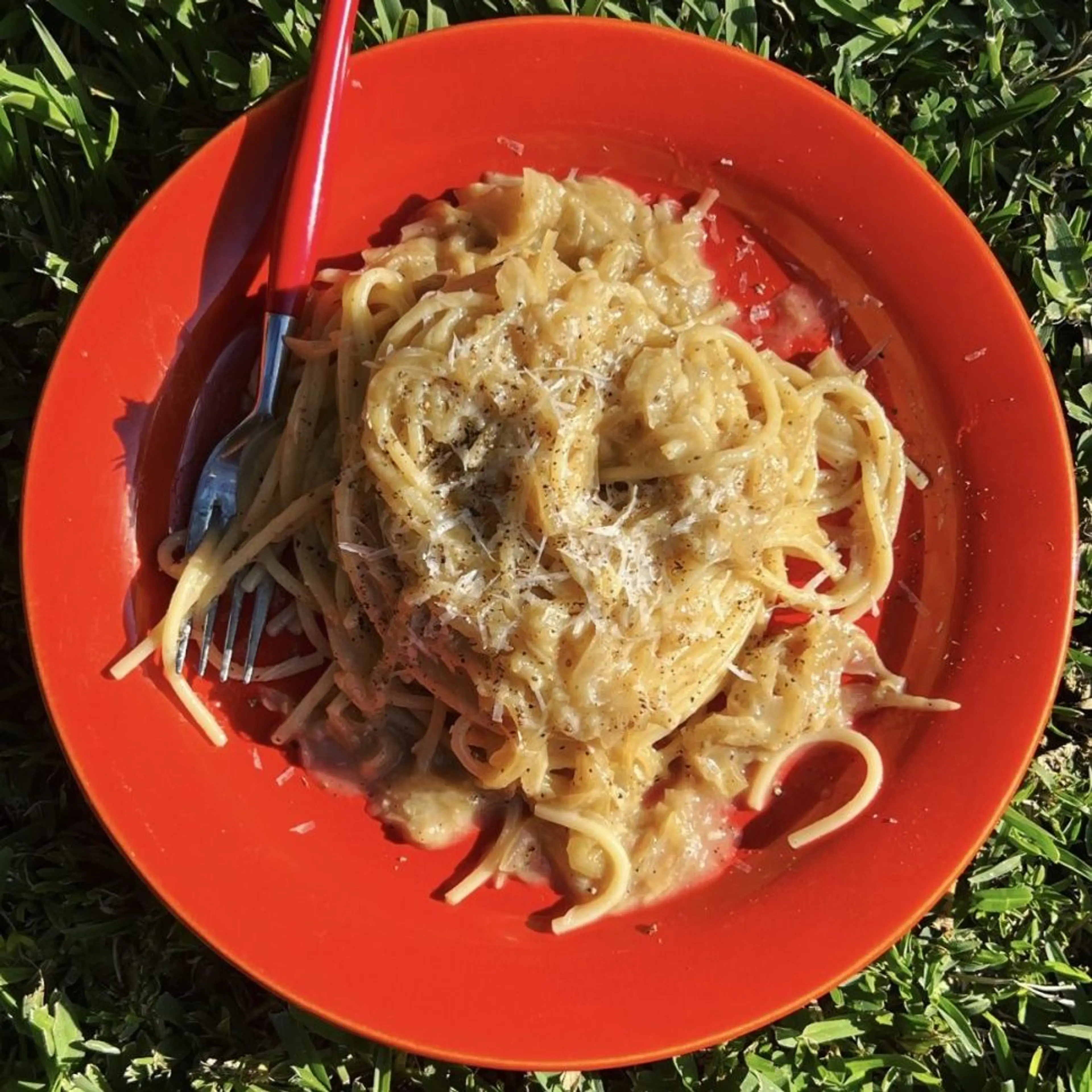 Spaghetti with Melted Onions and Pecorino