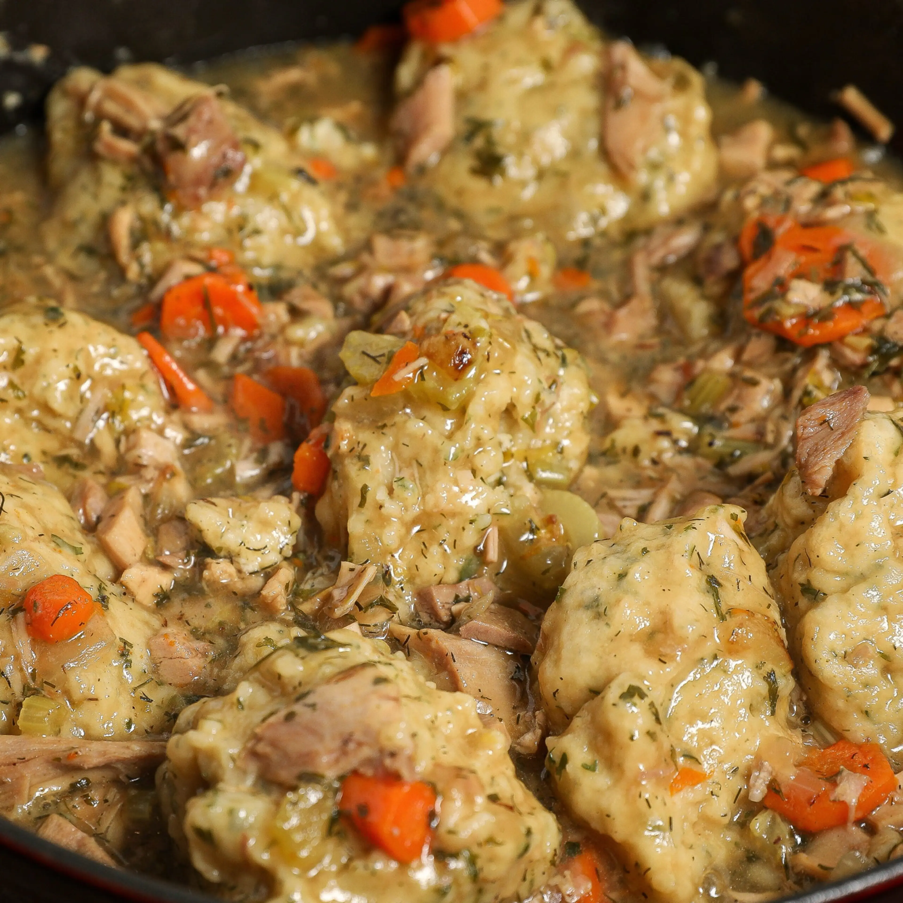 Turkey and Dumplings
