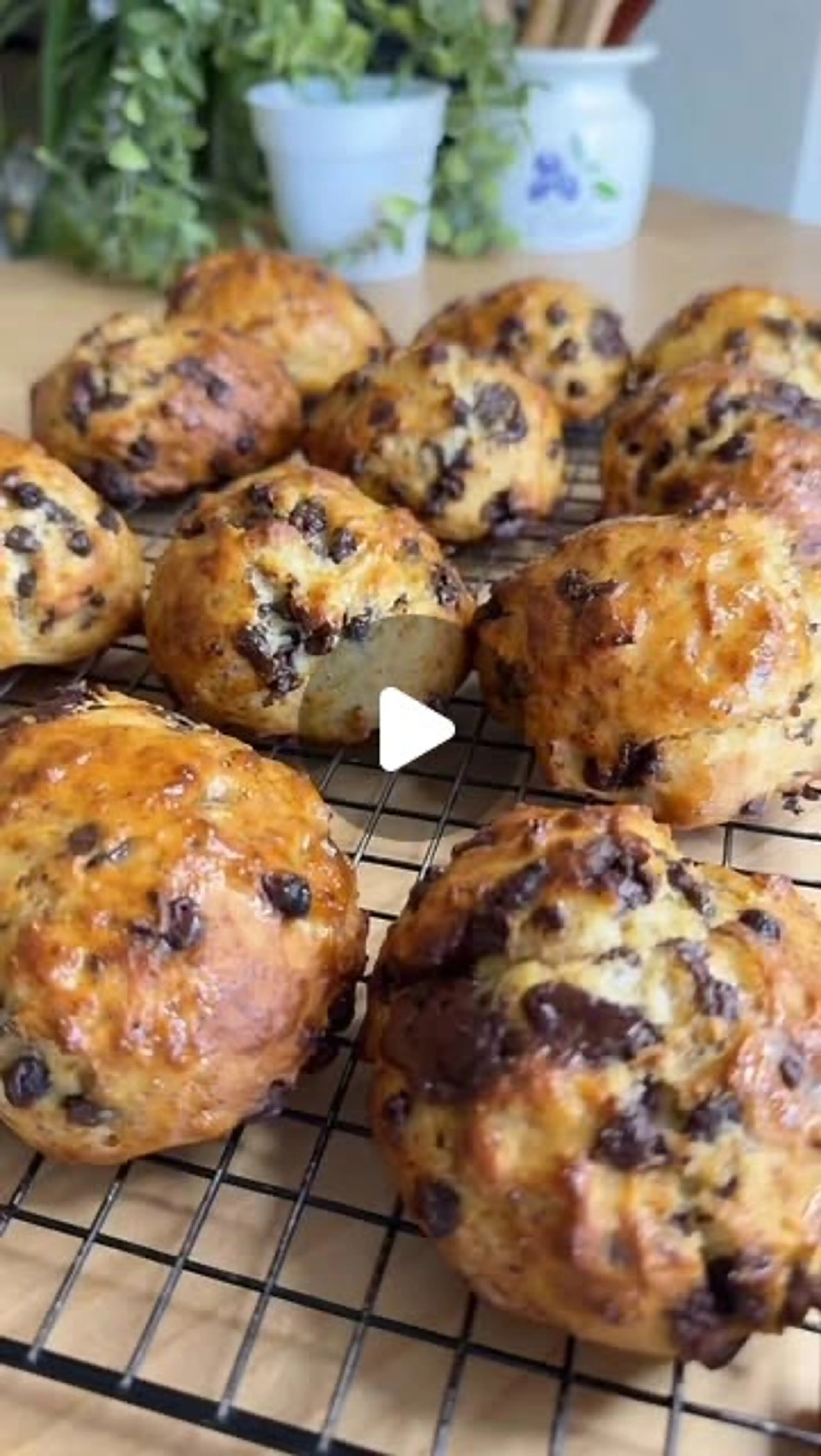 High Protein Chocolate Chip Brioche