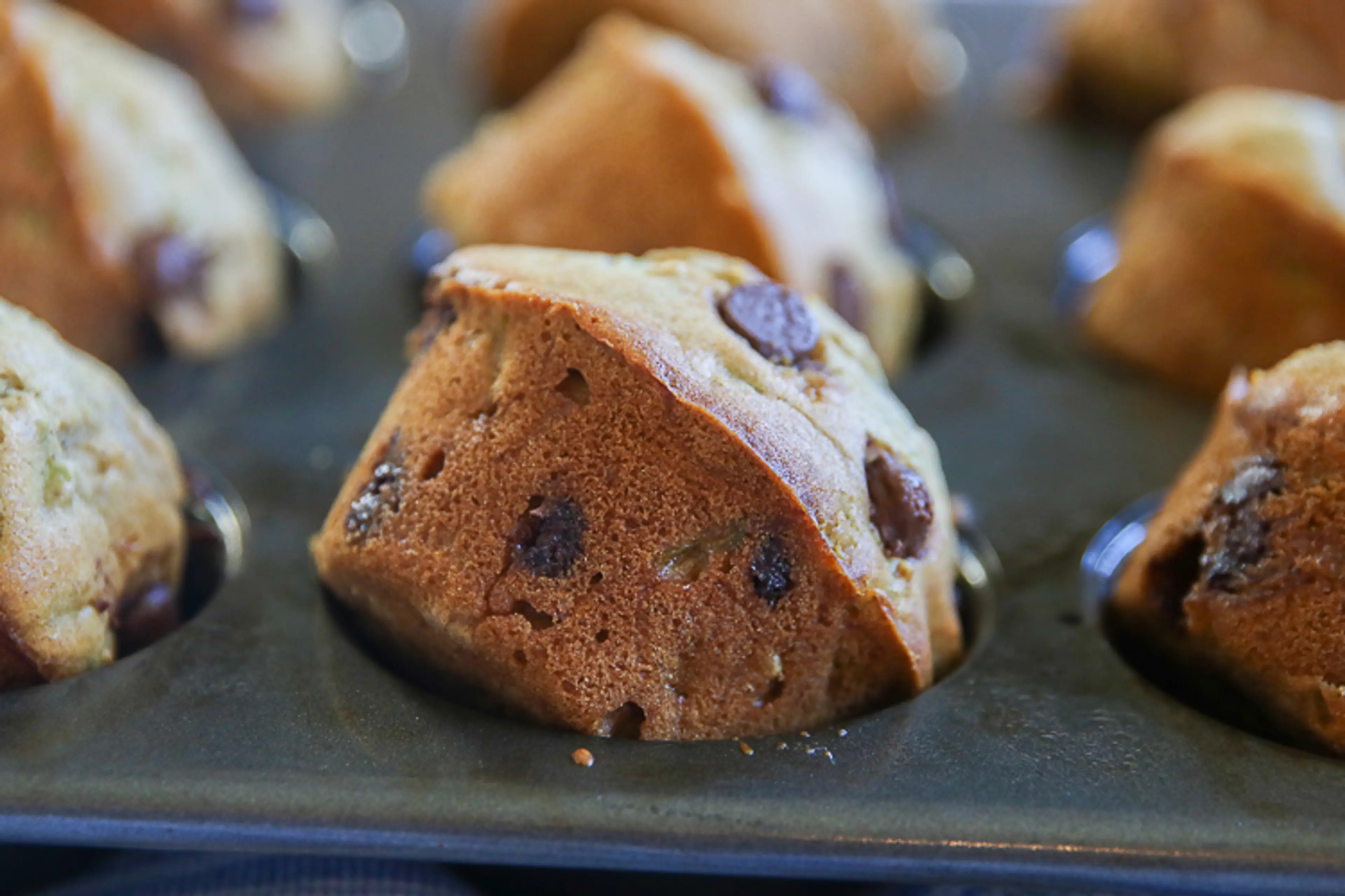 Chocolate Chip Zucchini Muffins