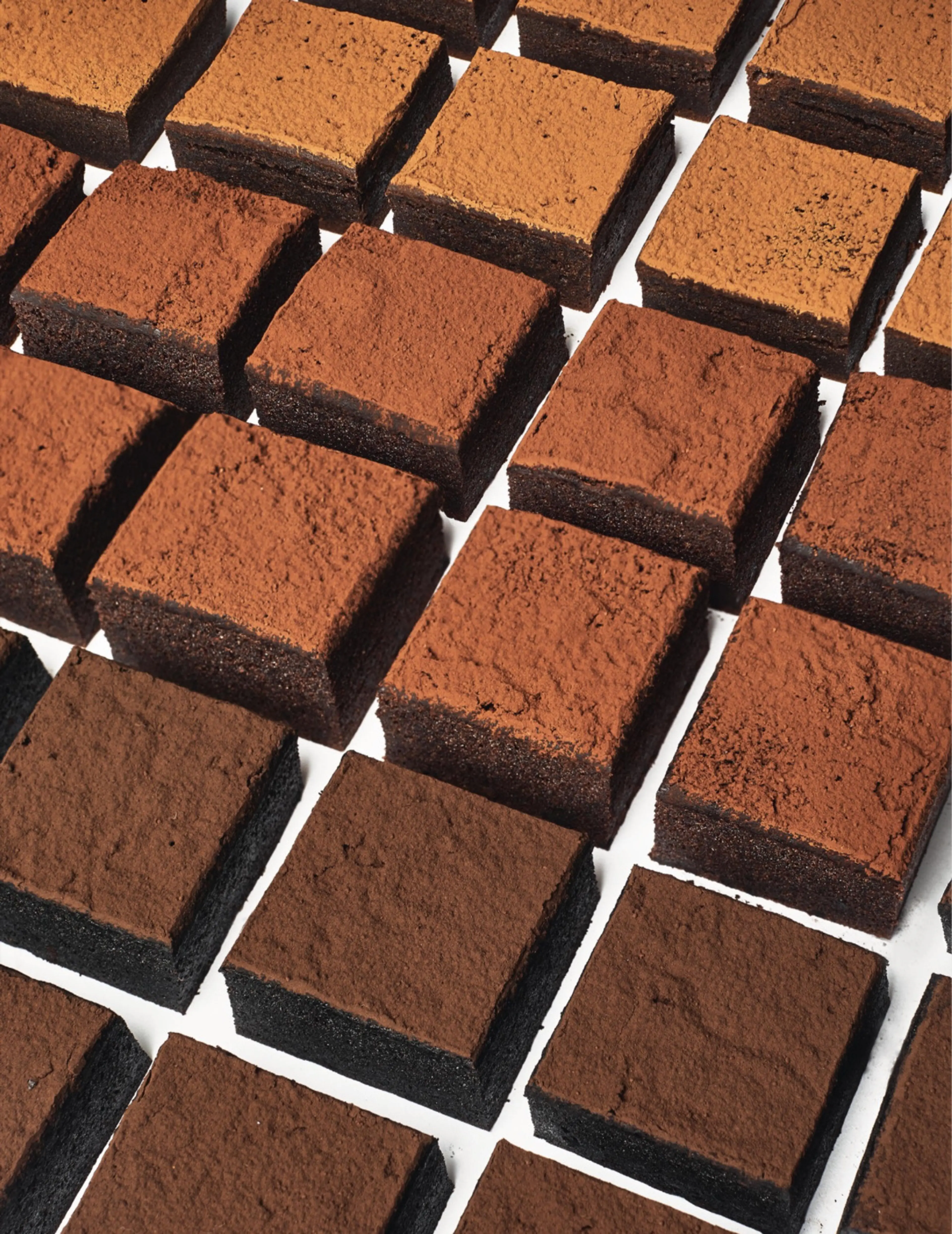 Future Brownies
