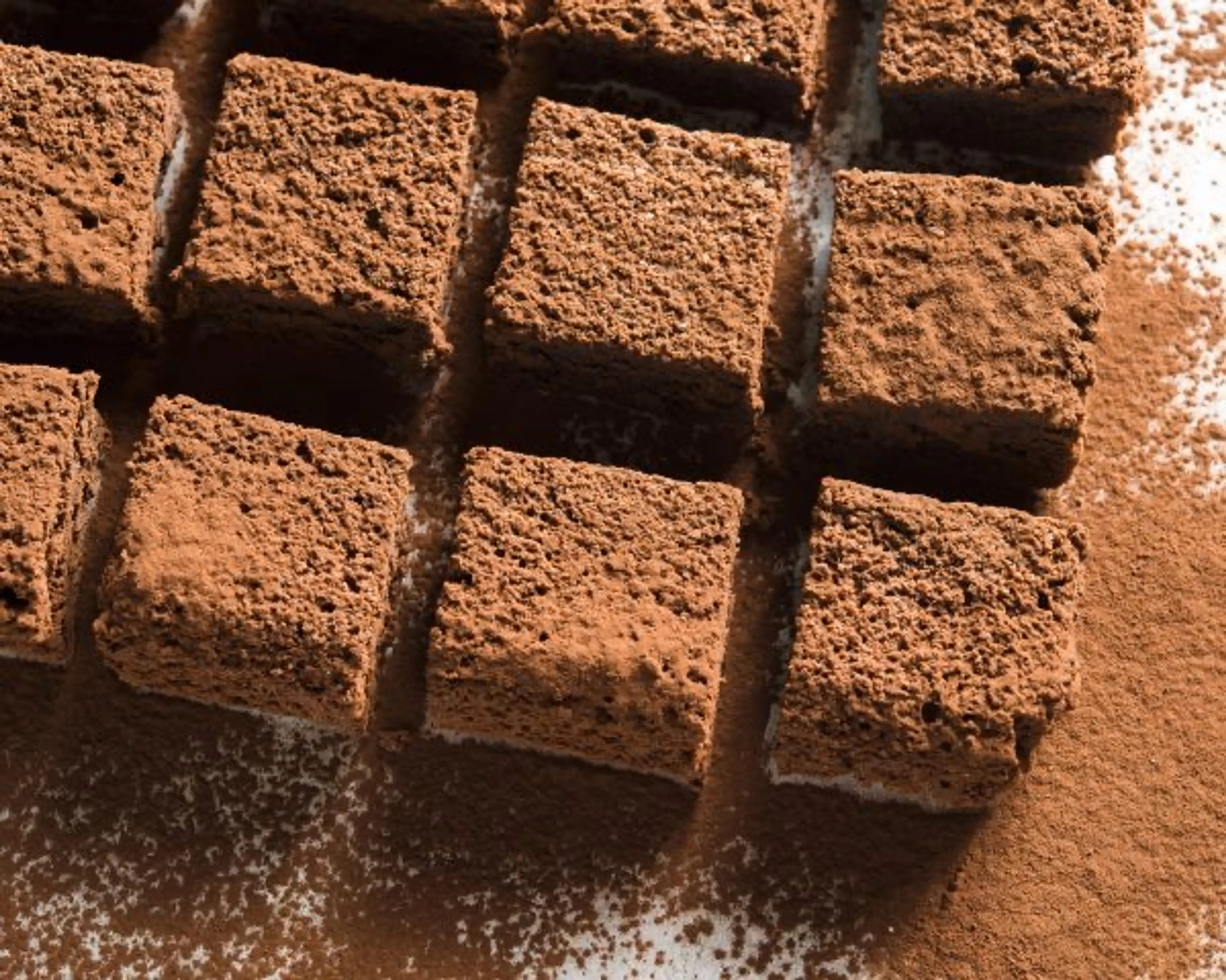 Italian Flourless Chocolate Torta