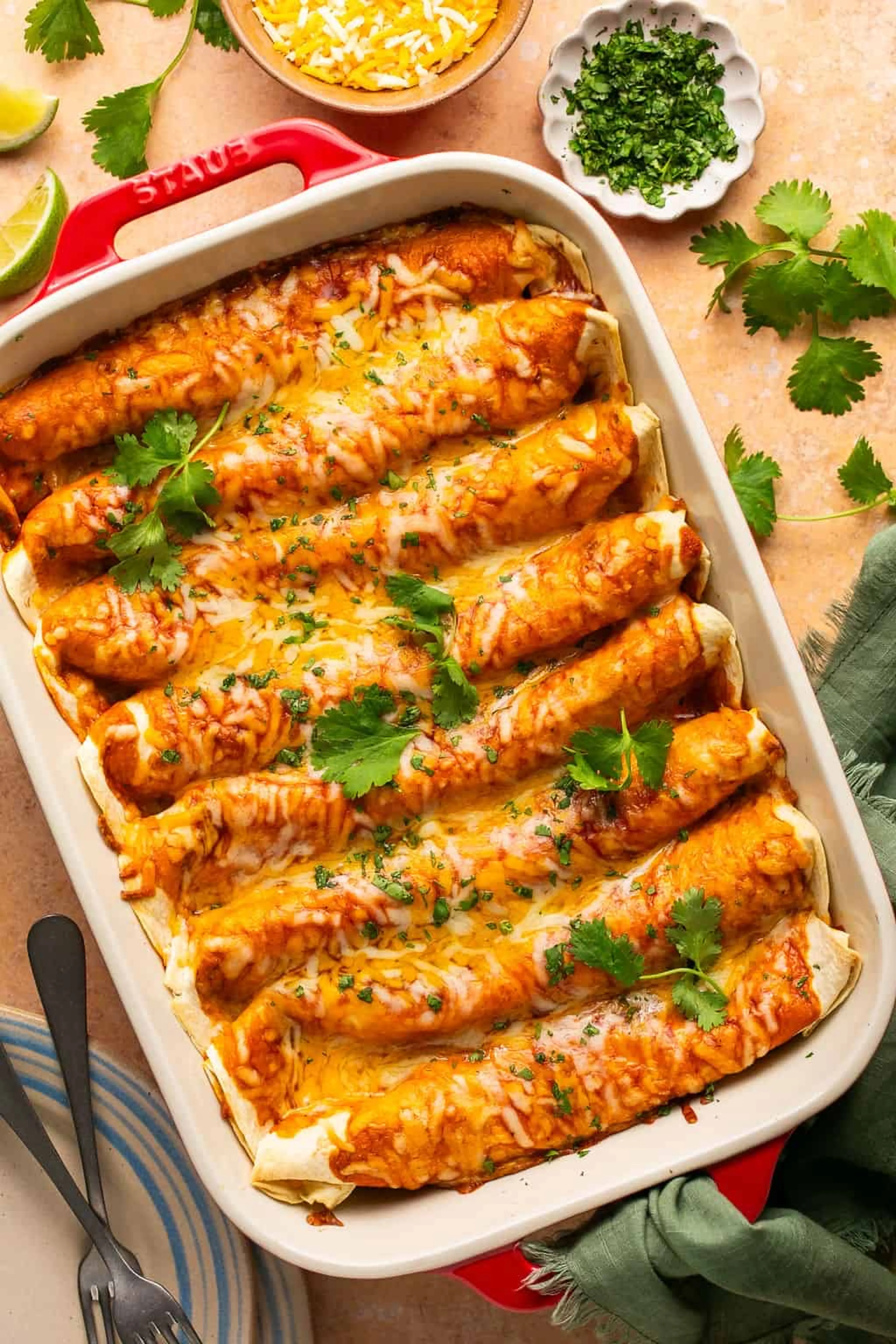 High Protein Chicken Enchiladas (30-minute)