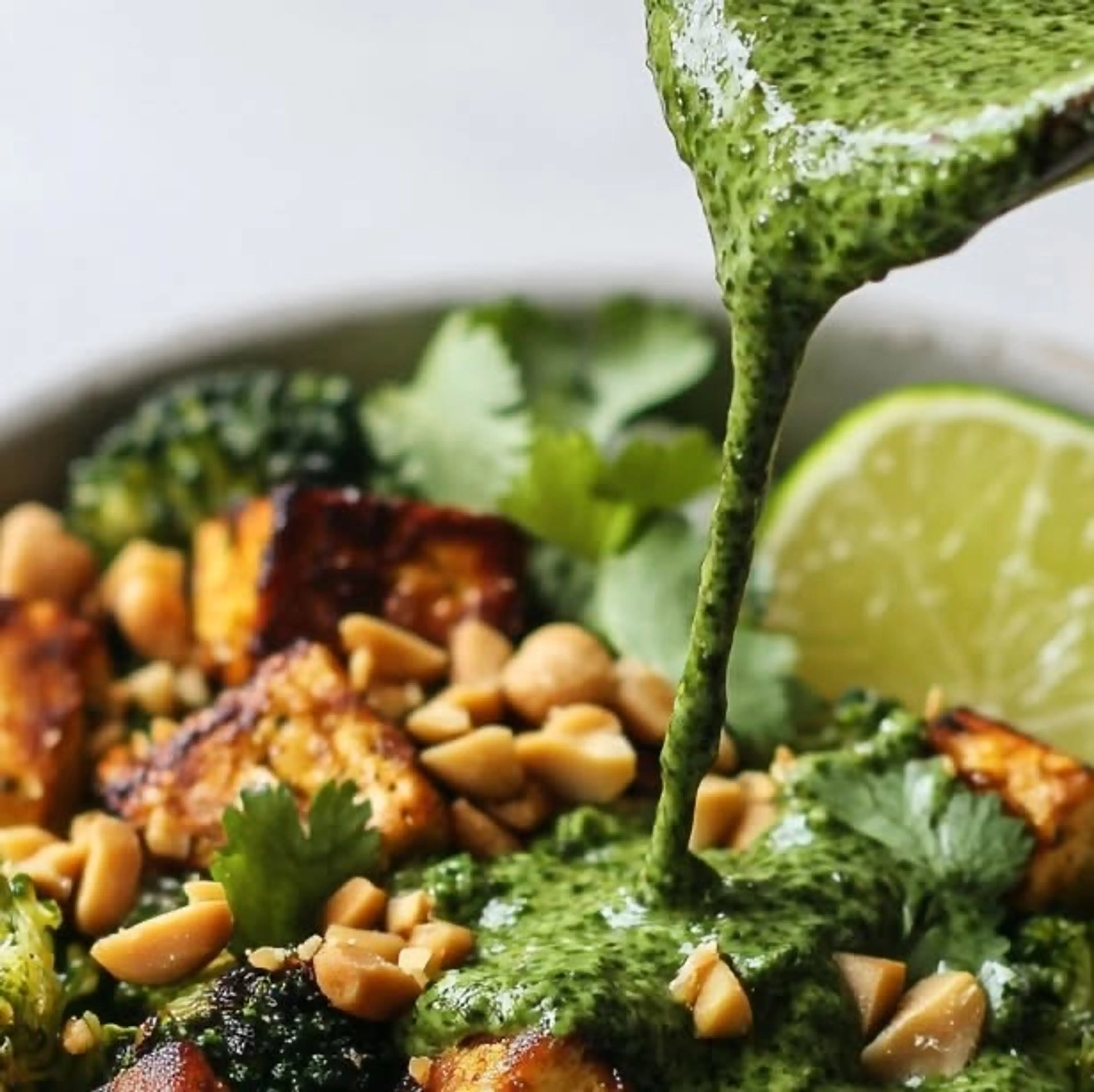 Get Our New 100 Vegan Recipes Ebook