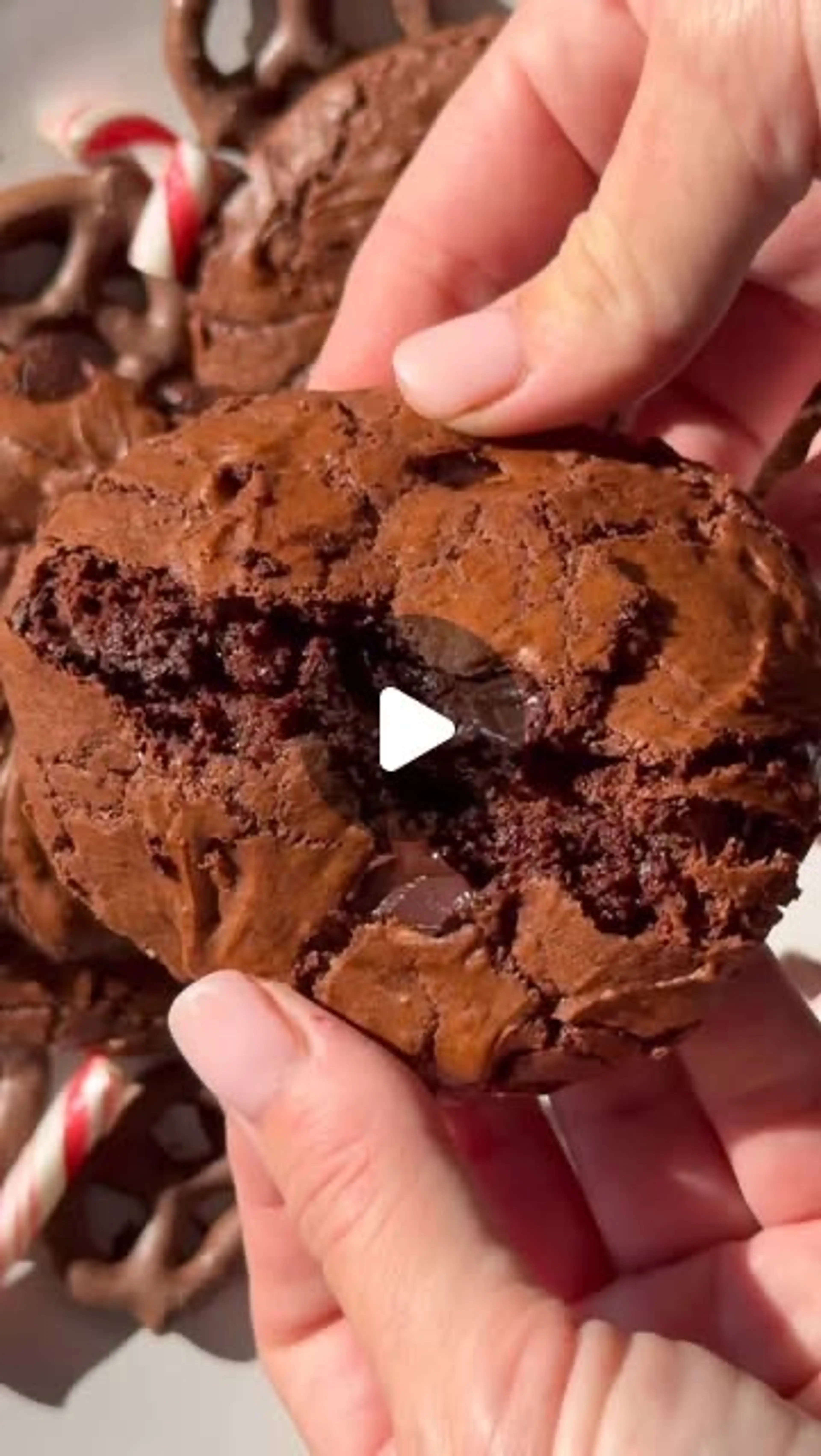 Hot Chocolate Cookies (gf / Df)