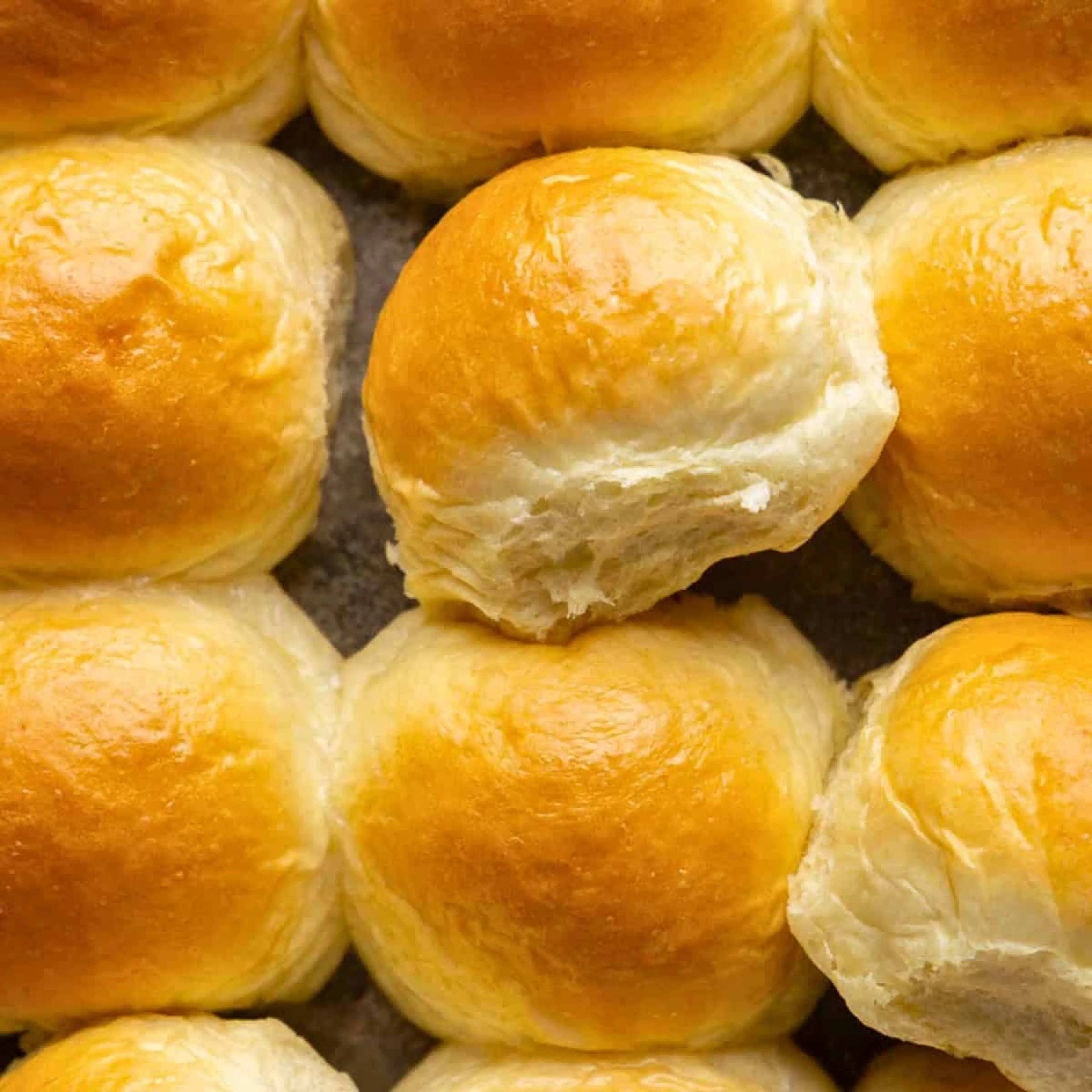 The Best Homemade Dinner Rolls Ever!