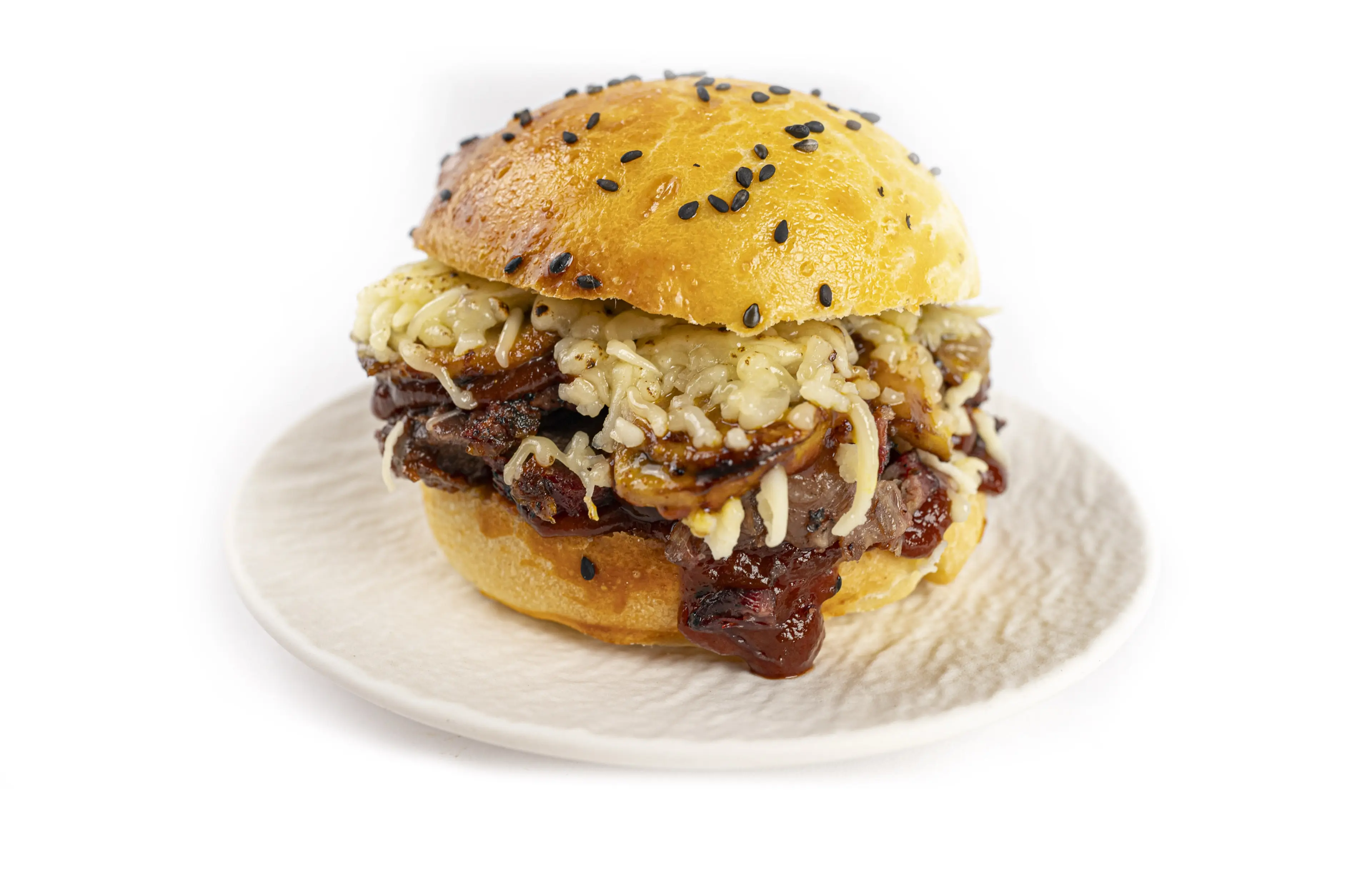 Pulled Beef SaNDWICH