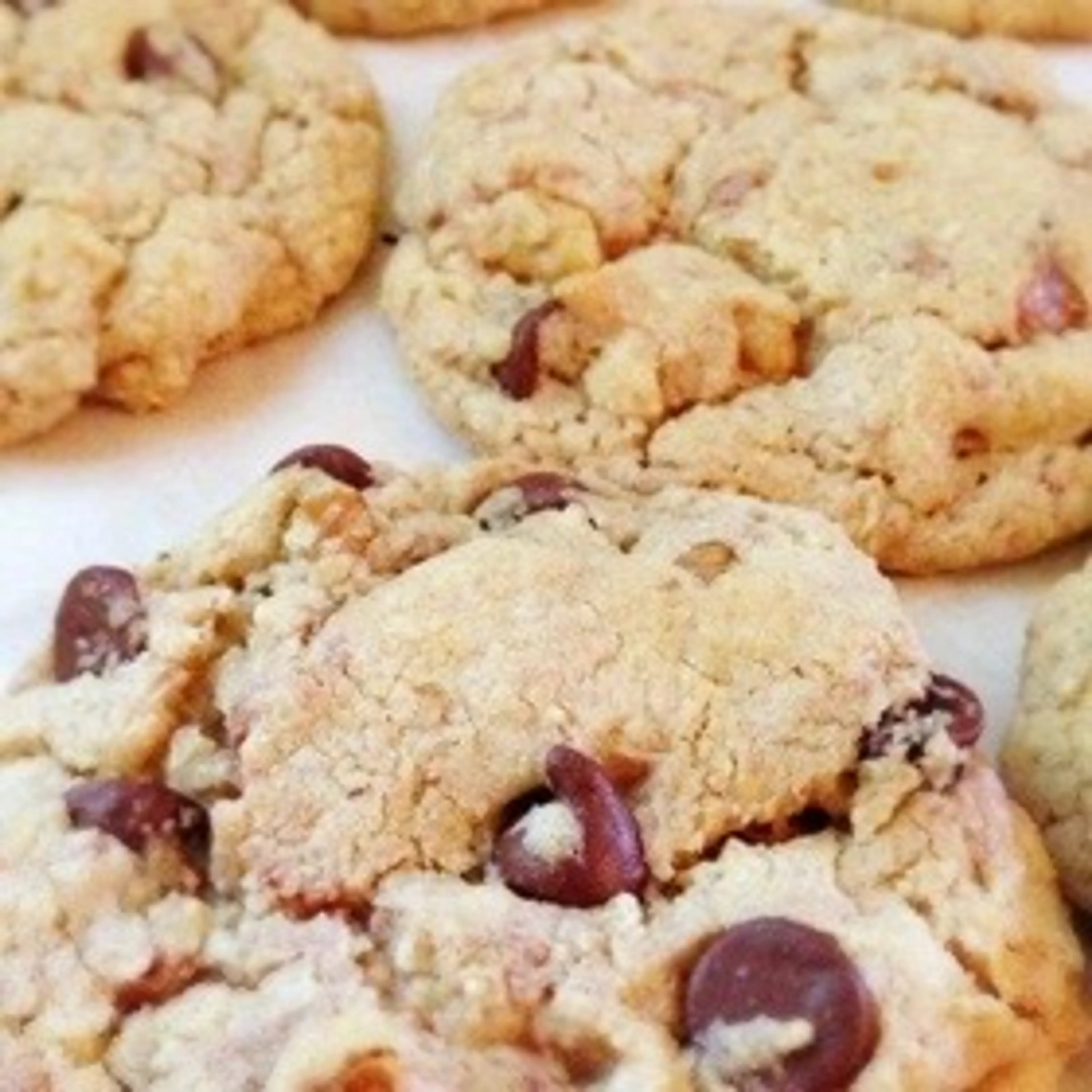 Neiman-Marcus $250 Chocolate Chip Cookies