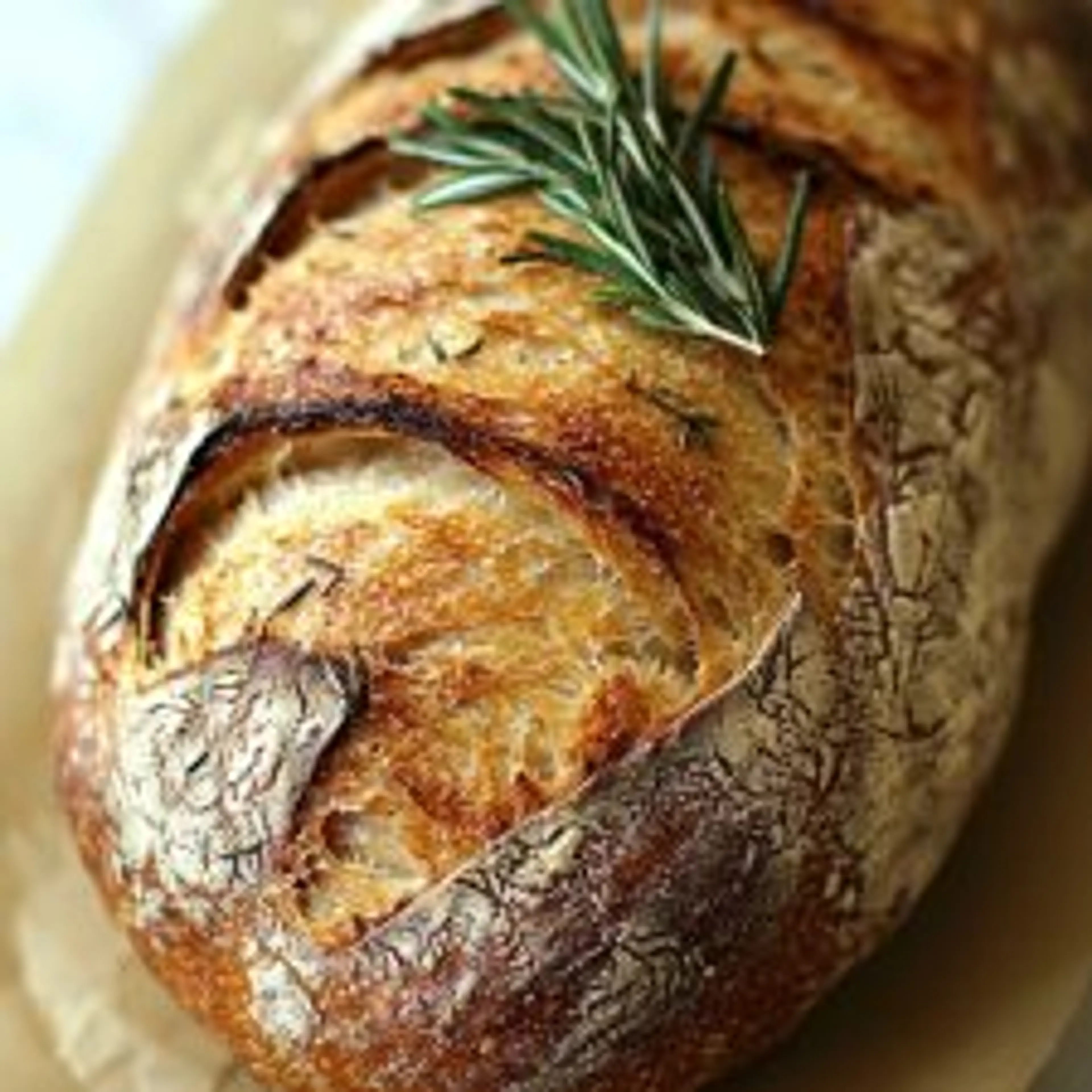 Authentic German Roggenbrot (Rye Bread) Recipe