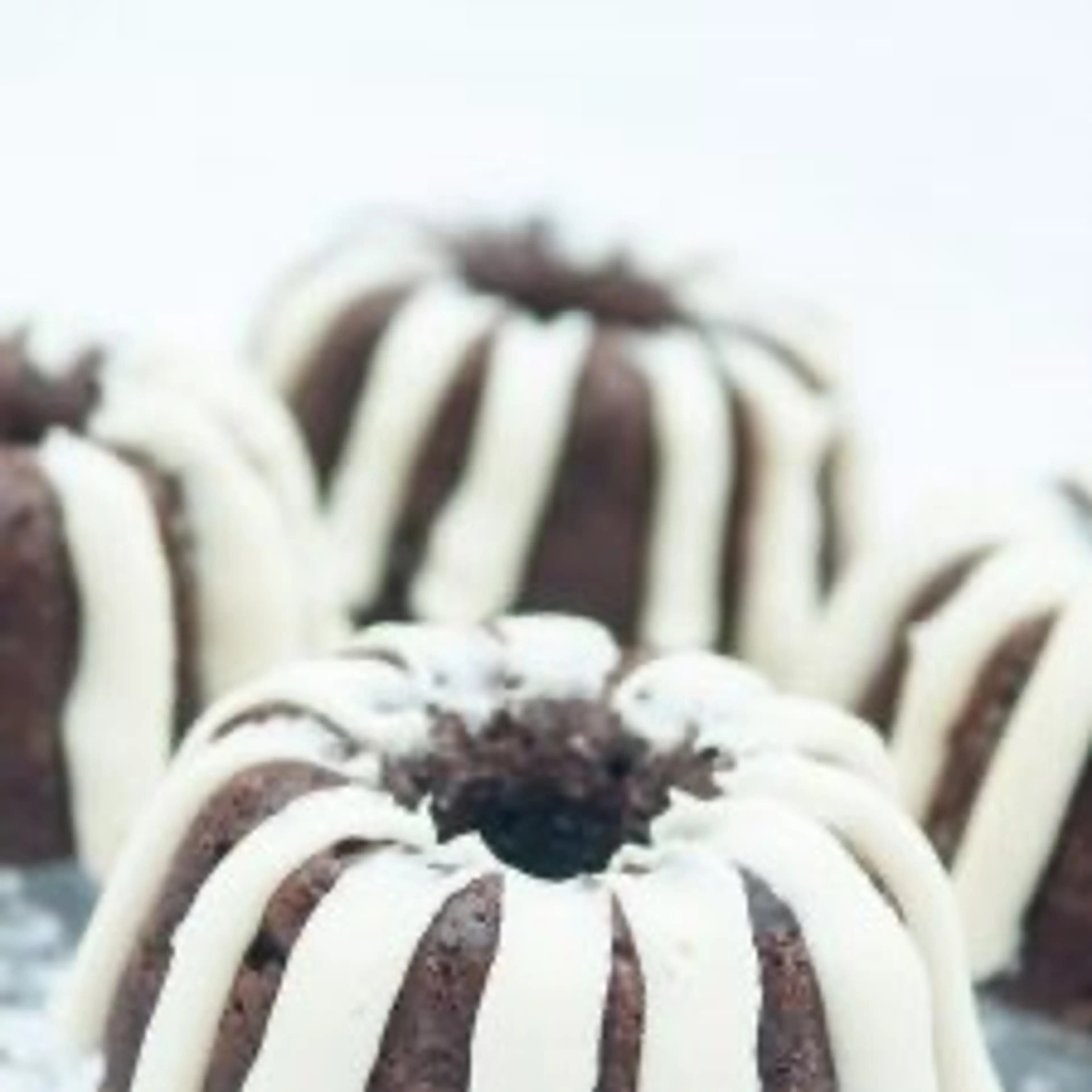 Mini Chocolate Bundt Cake Recipe