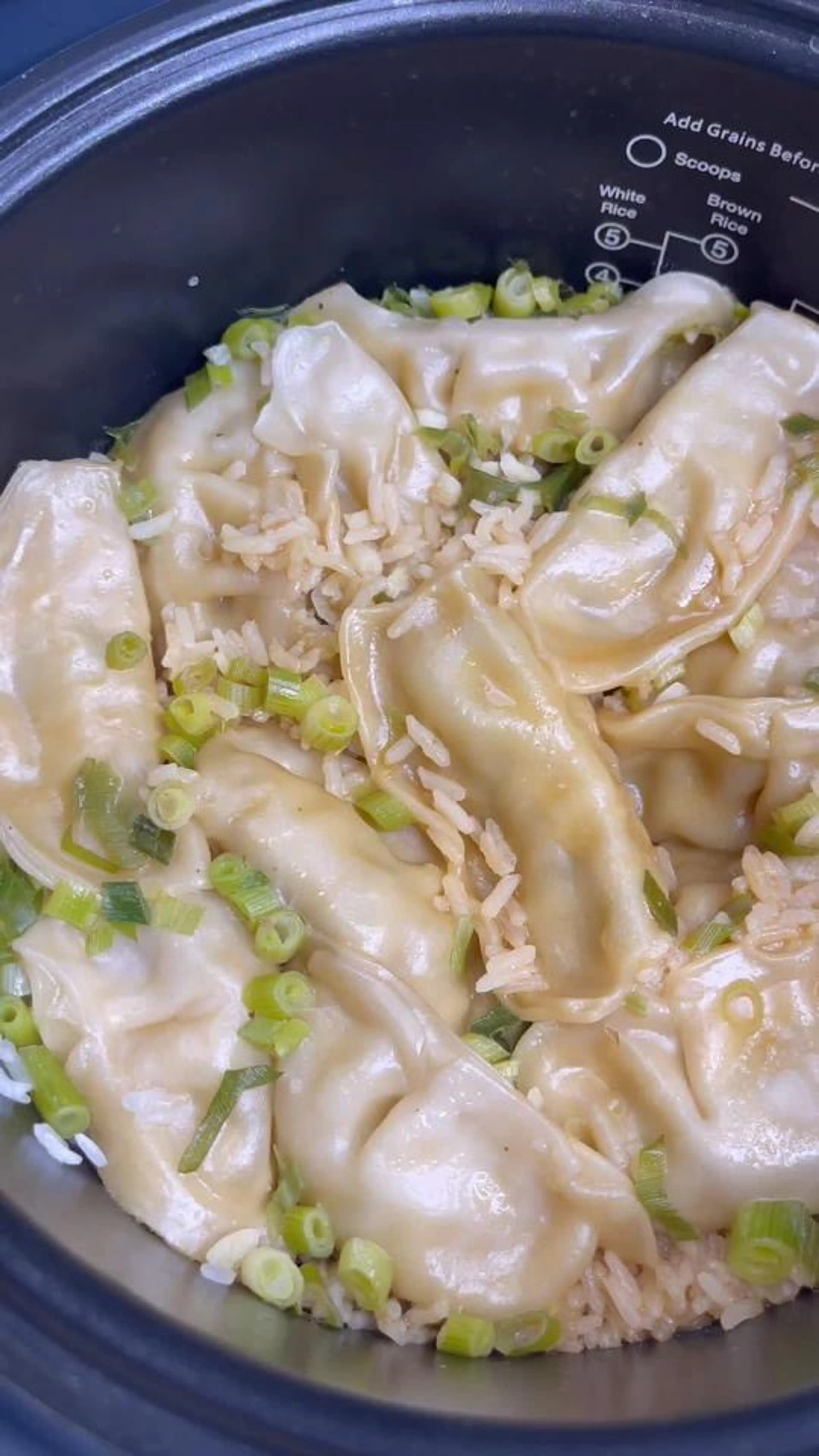 Rice Cooker Dumplings
