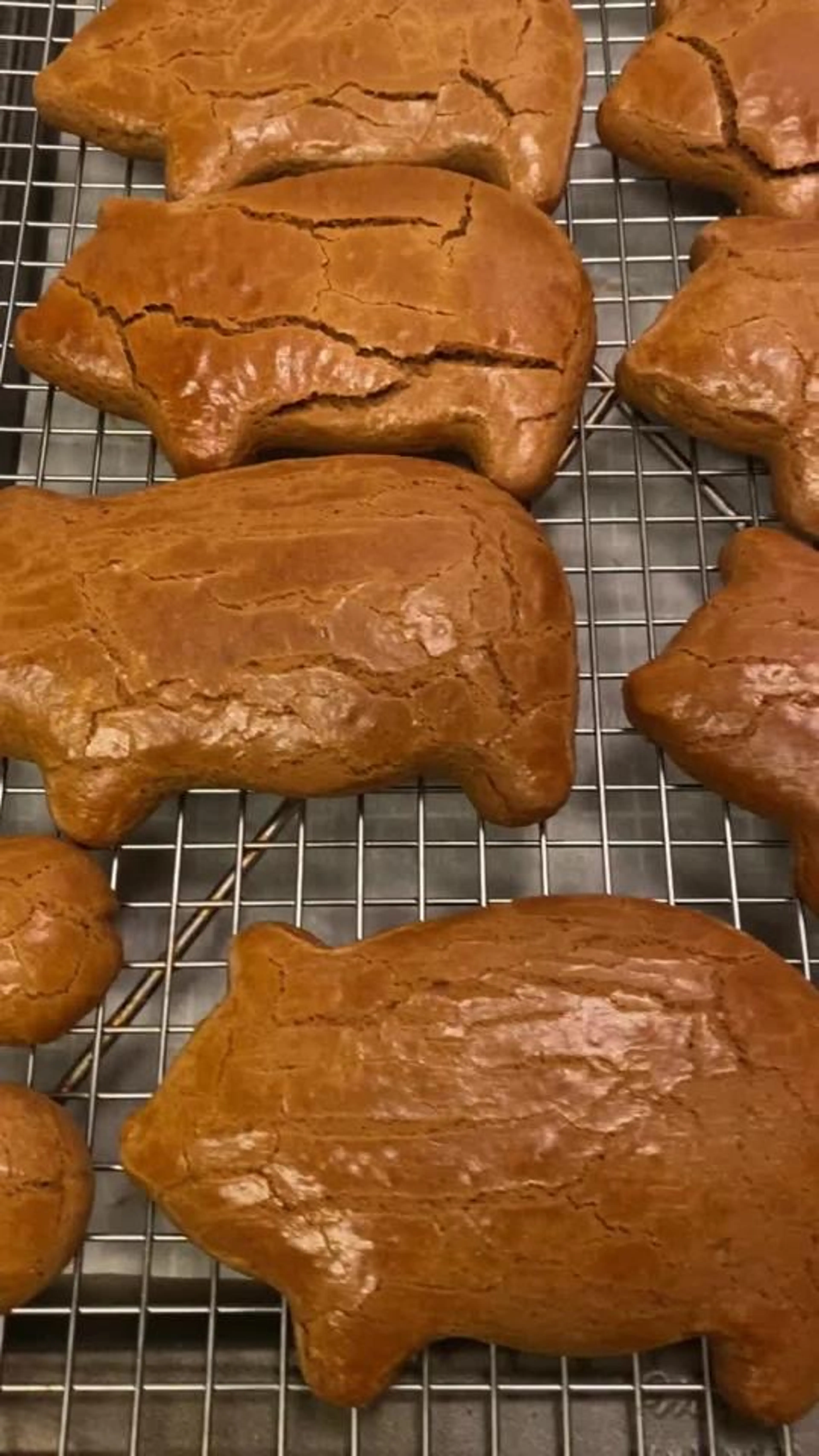 Marranitos! Puerquitos! Cochinitos! Pan Dulce! Happy Friday!