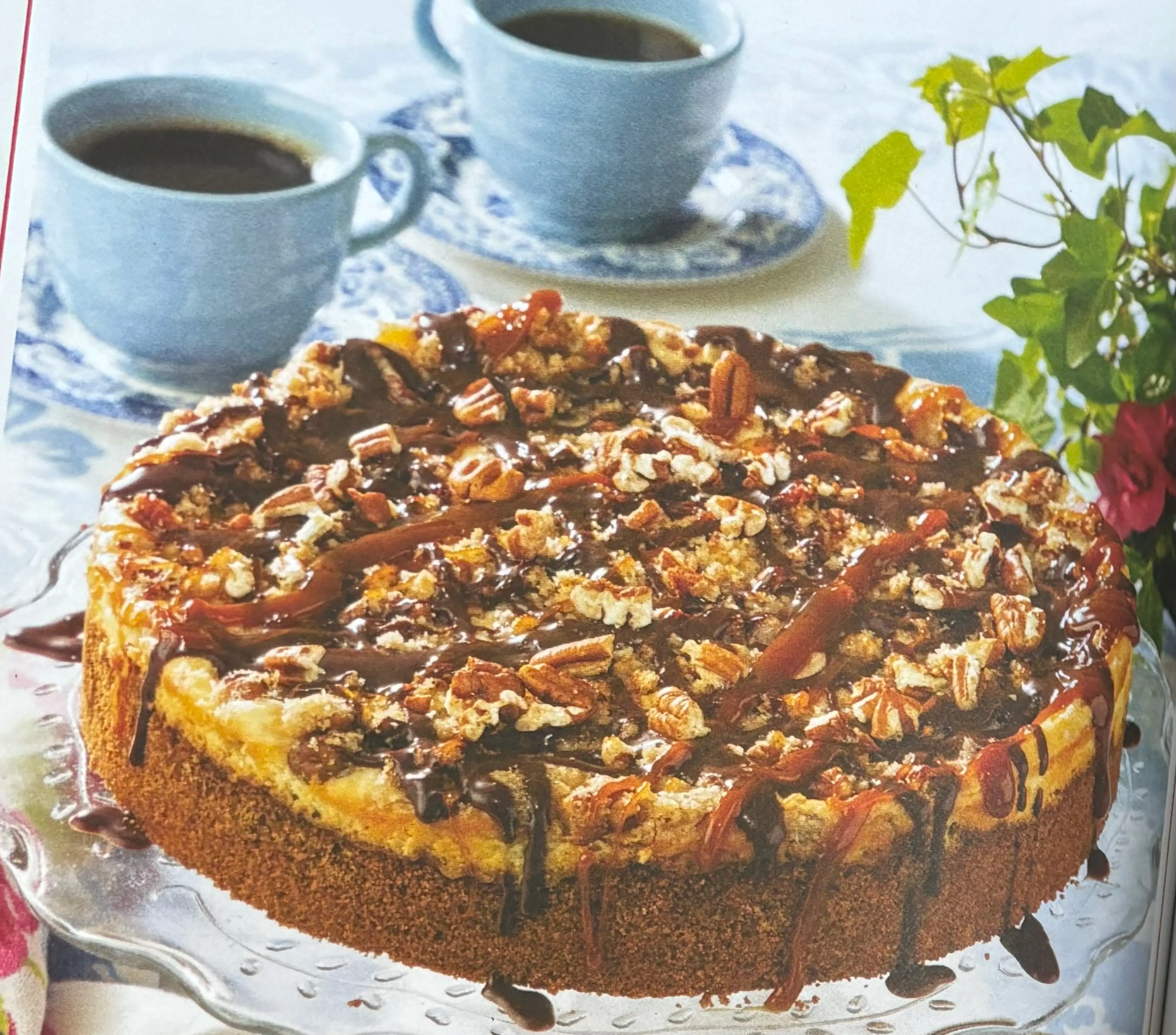 Turtle Cheesecake