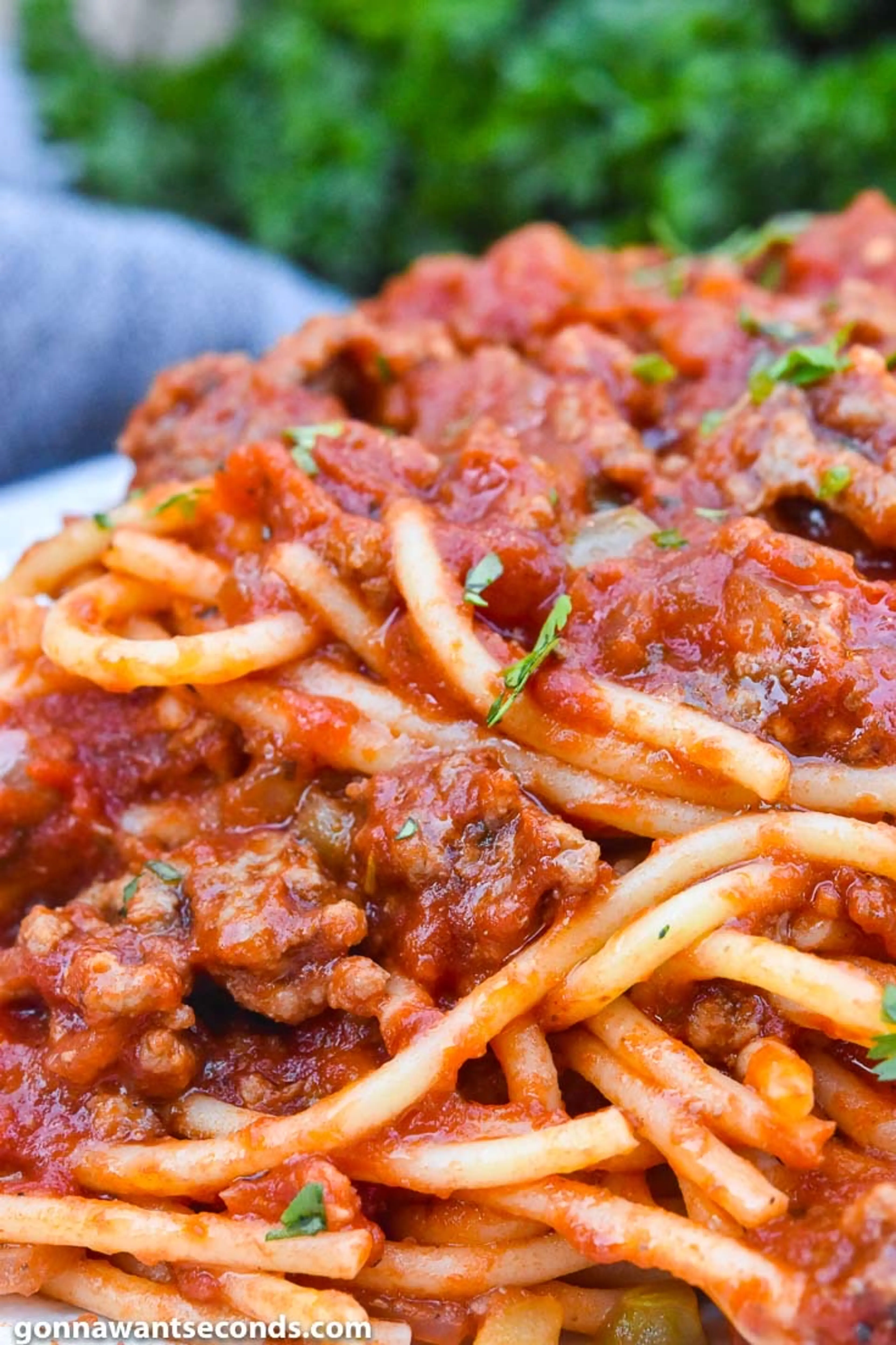 Grandma Linda’s Spaghetti