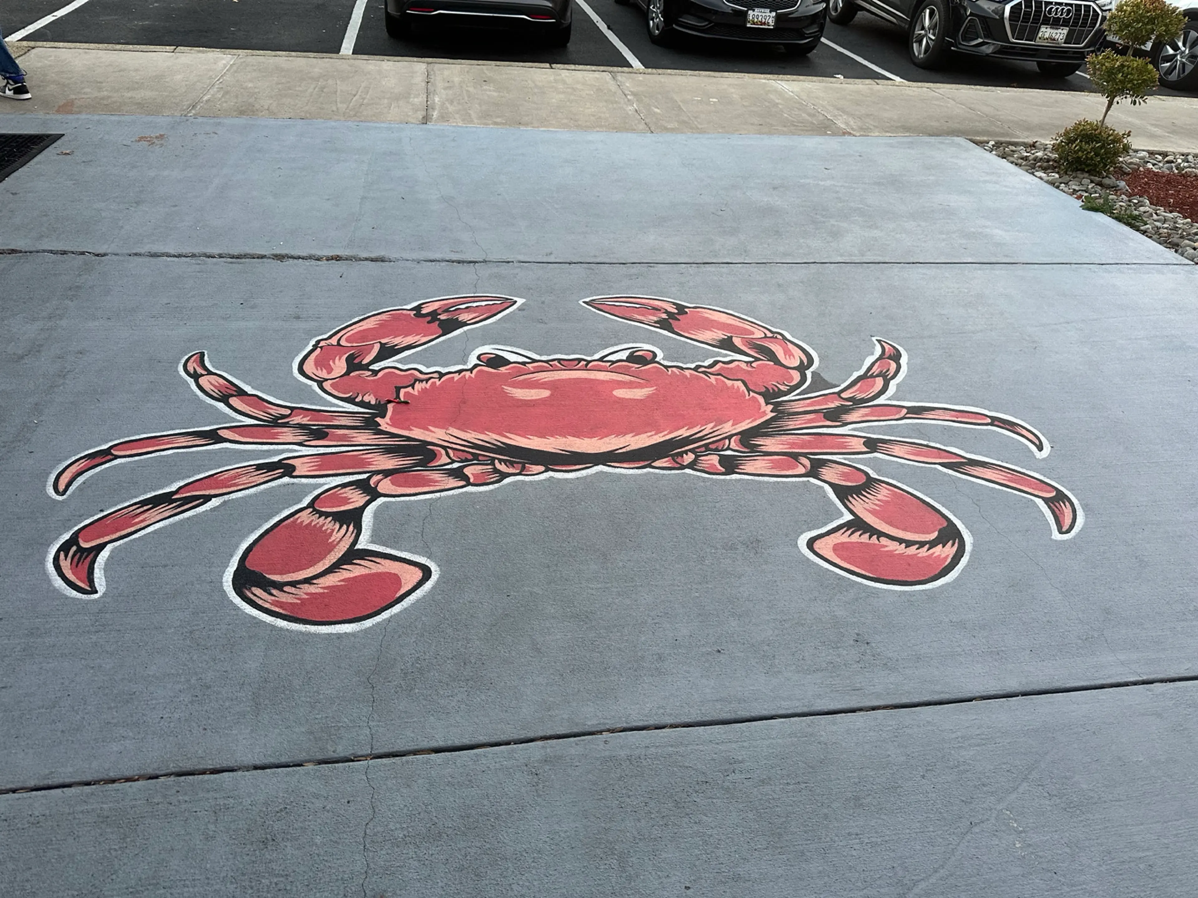 Crab Rangoon Burrito