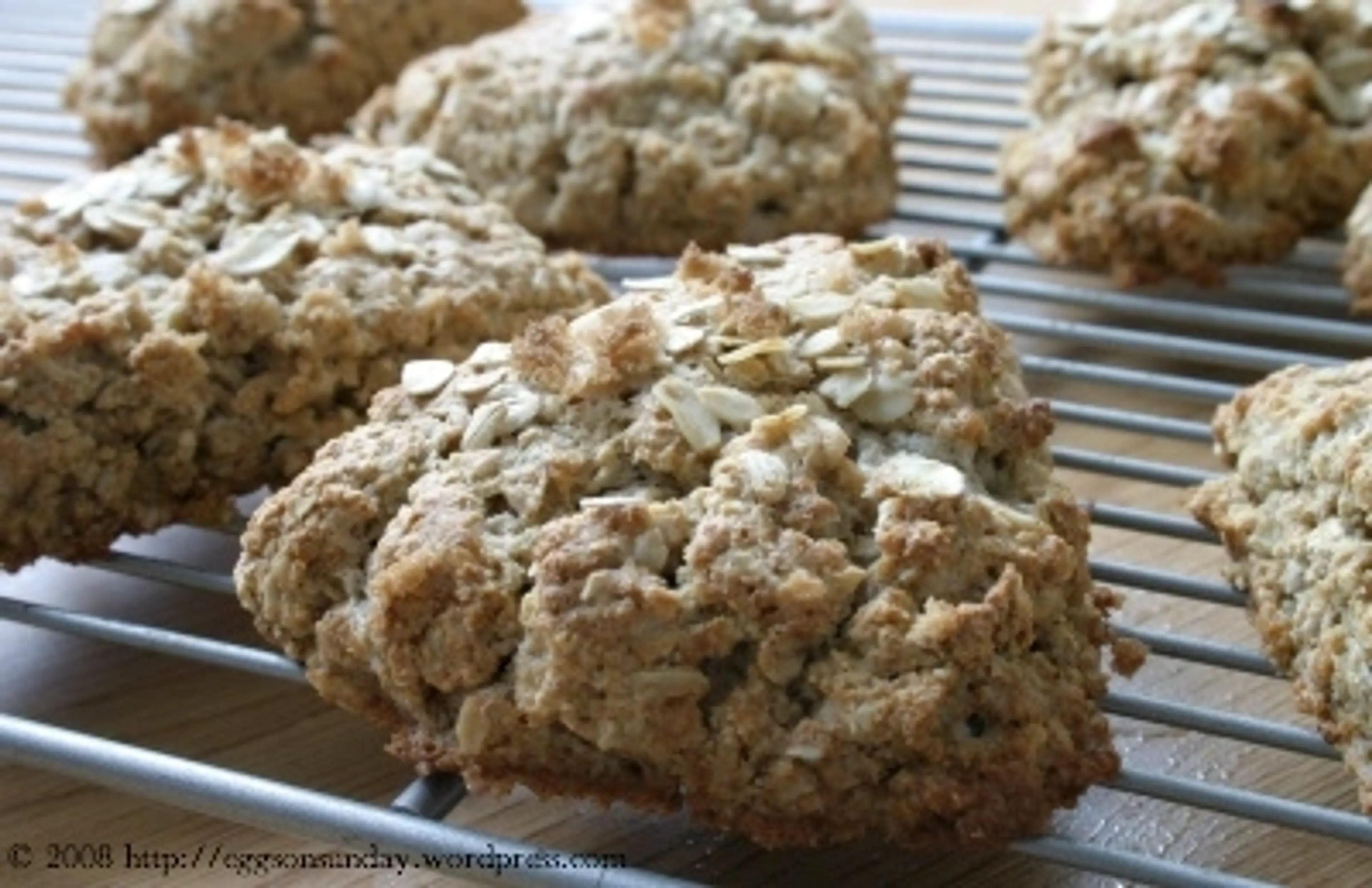 Whole Grain Maple Oatmeal Scones