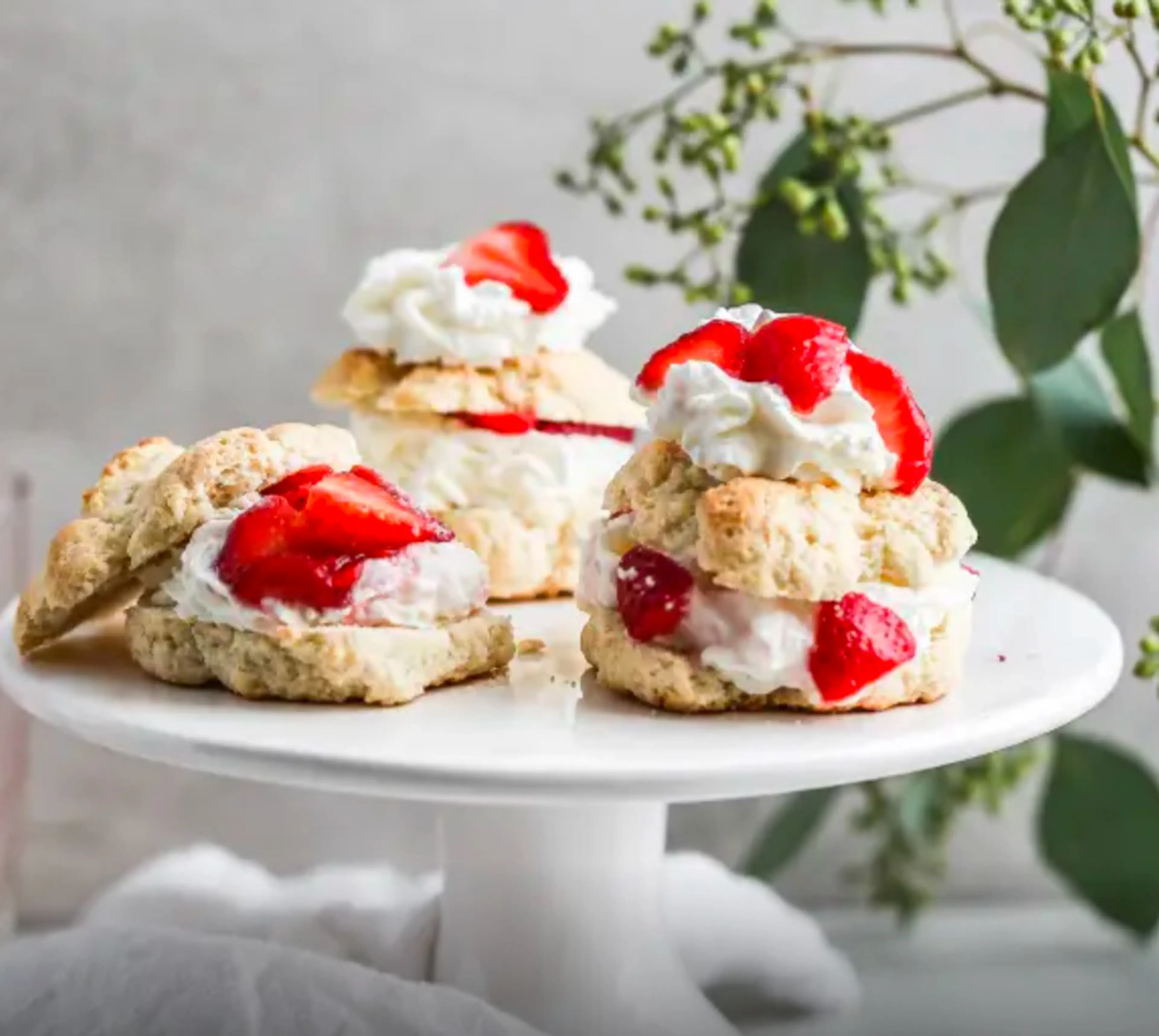 Strawberry Shortcake