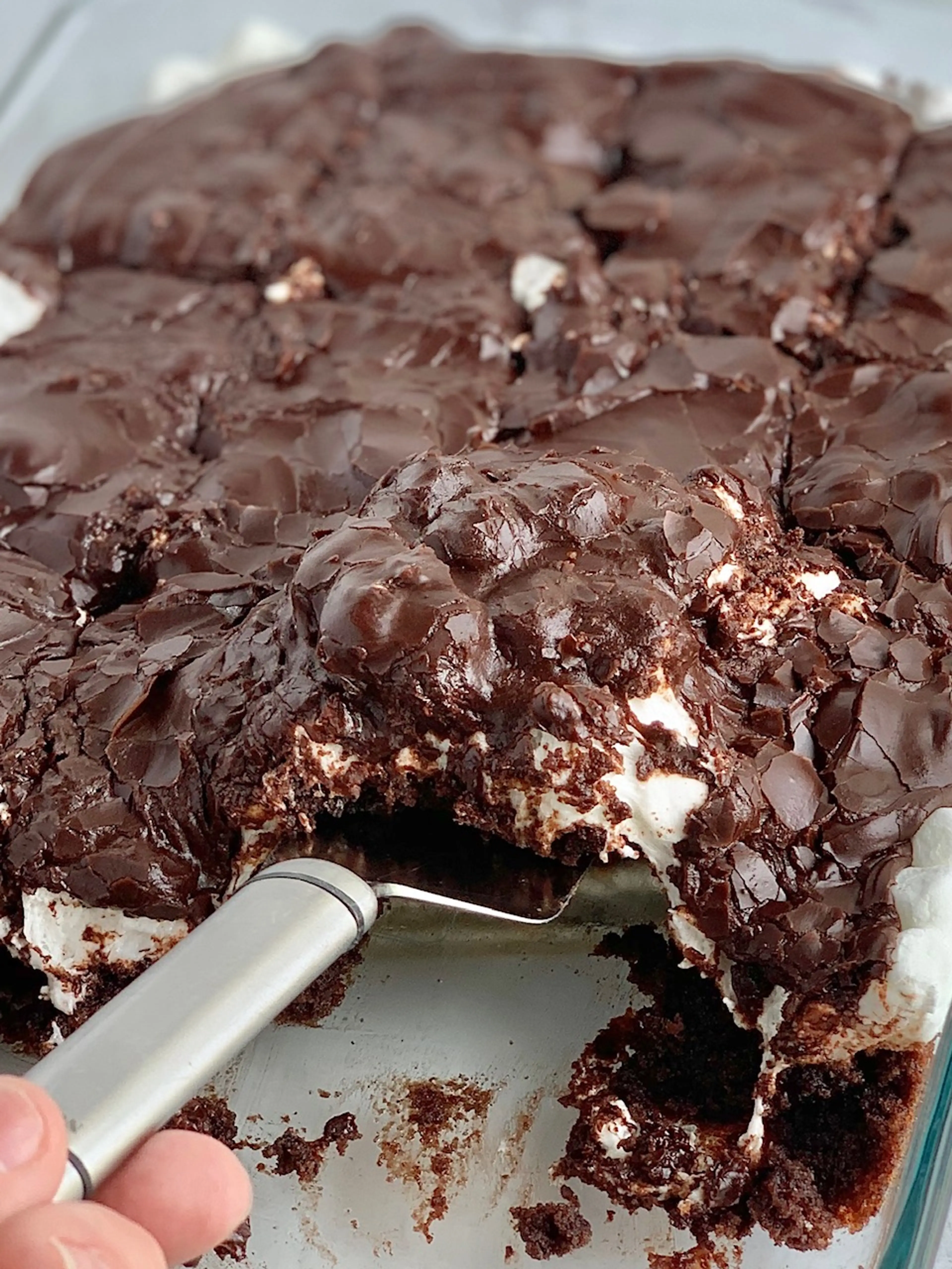 Gluten and Dairy Free Mississippi Mud Cake