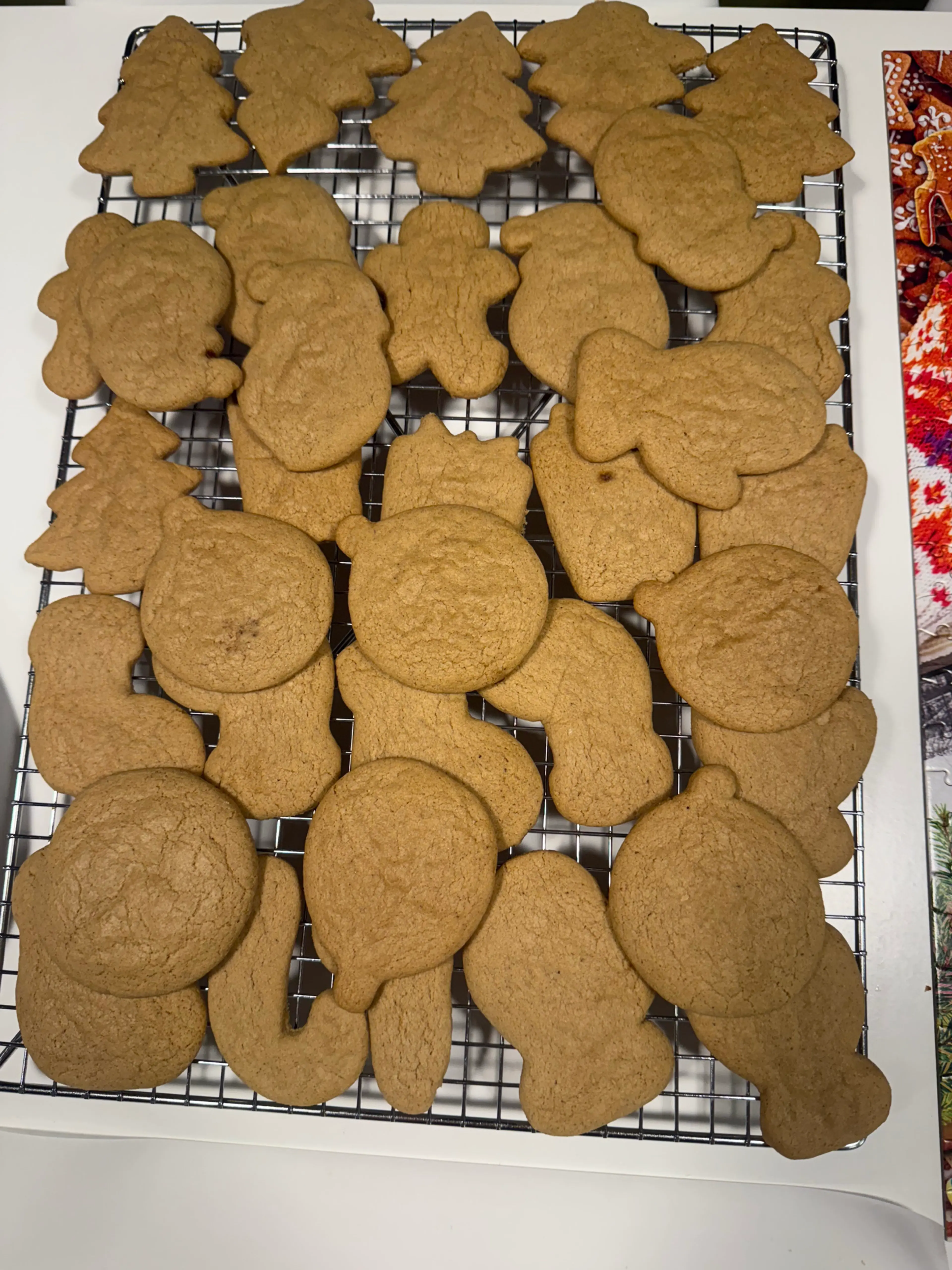 Gingerbread Cookies