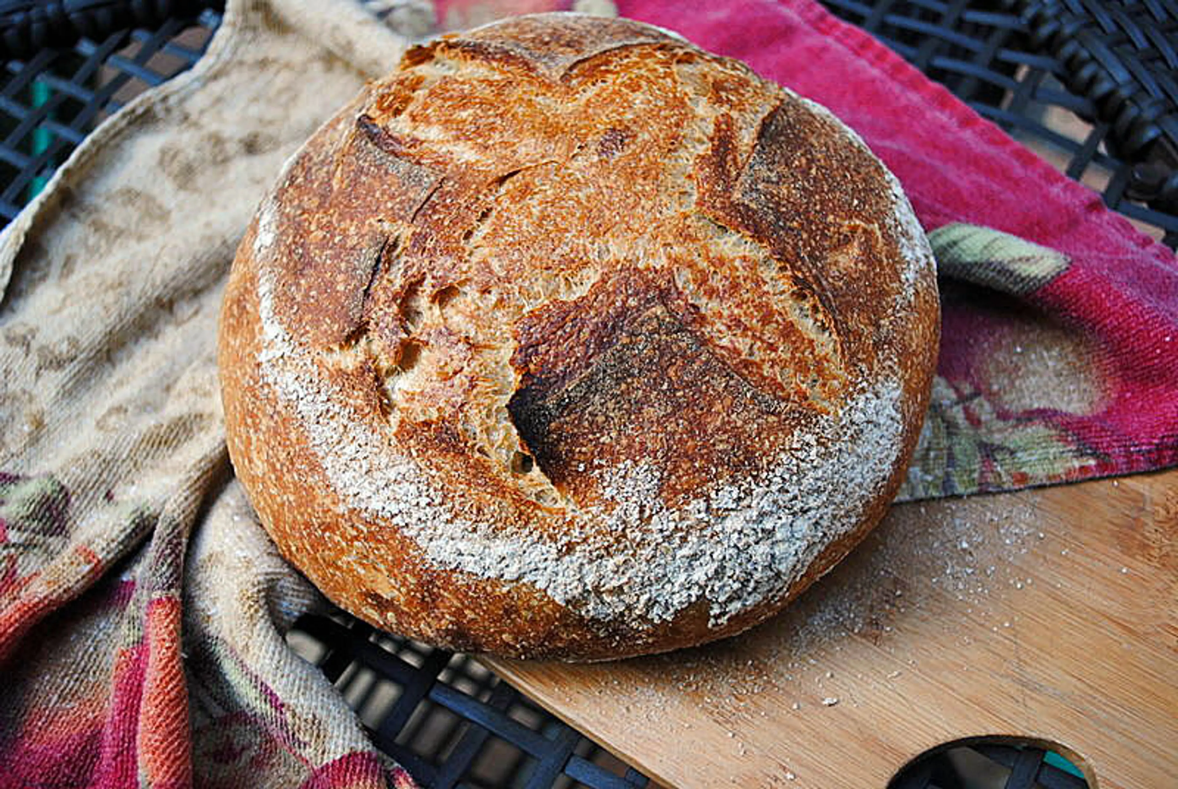 Breville sourdough