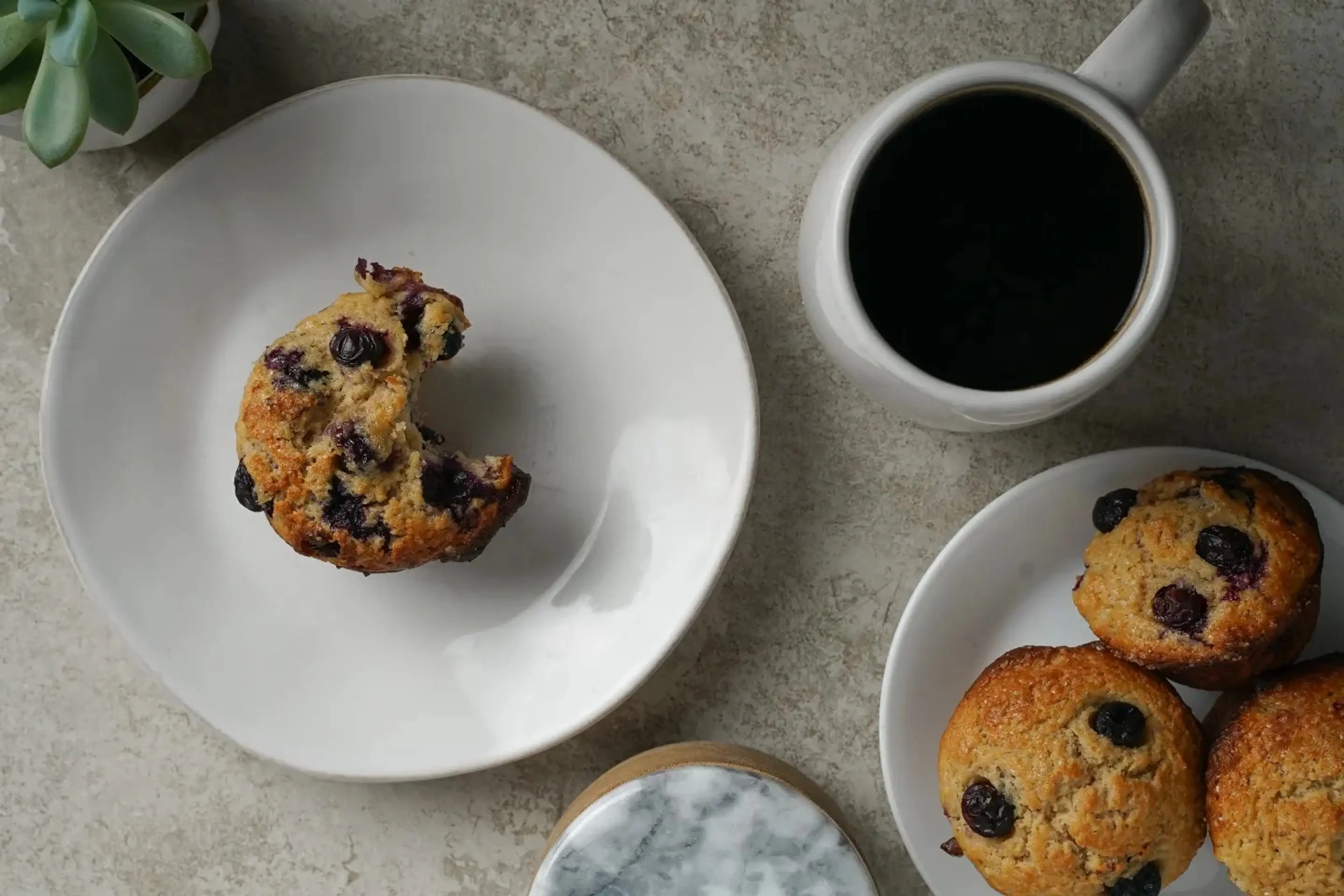 BA's Best Blueberry Muffins