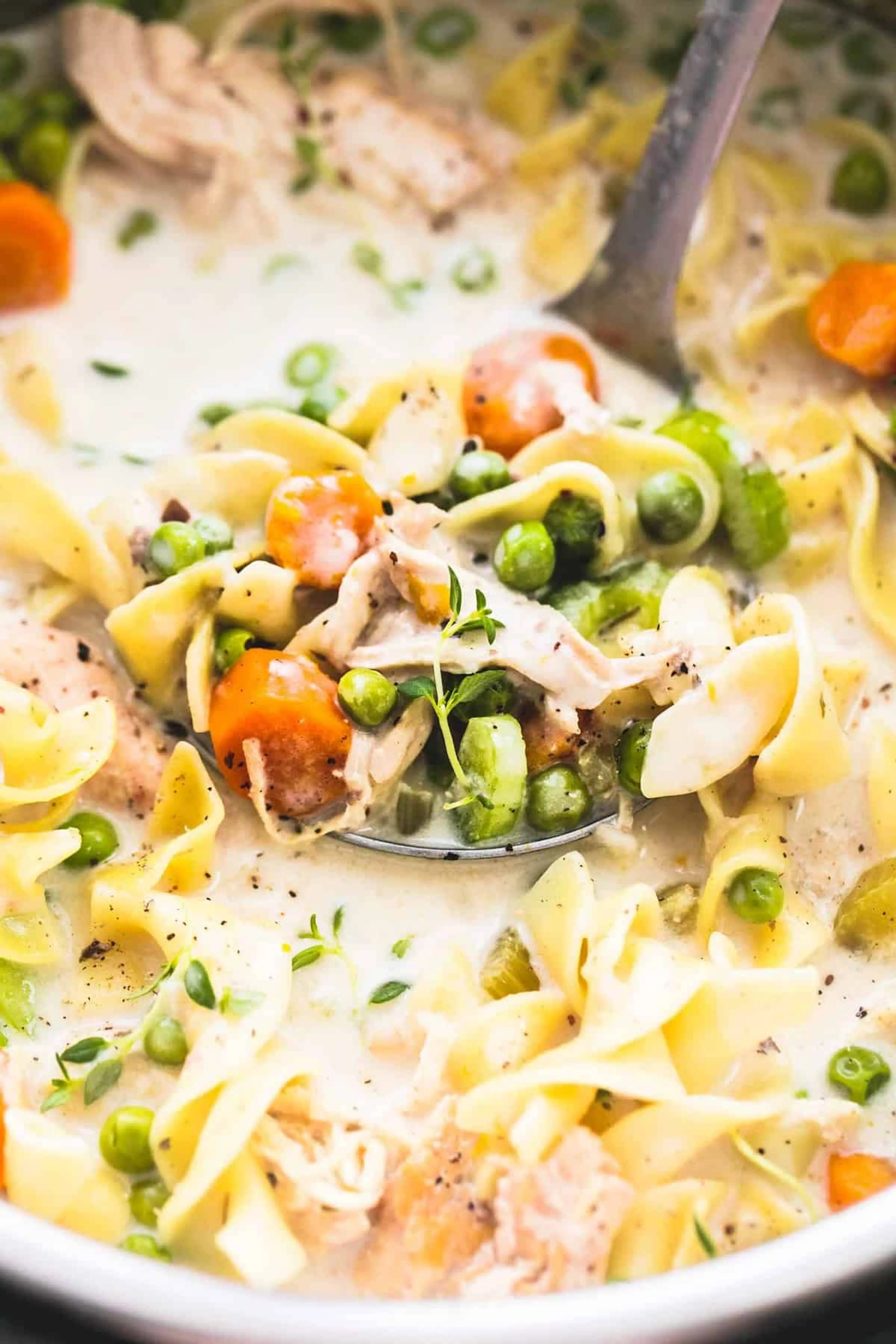 Slow Cooker OR Instant Pot Creamy Chicken Noodle Soup