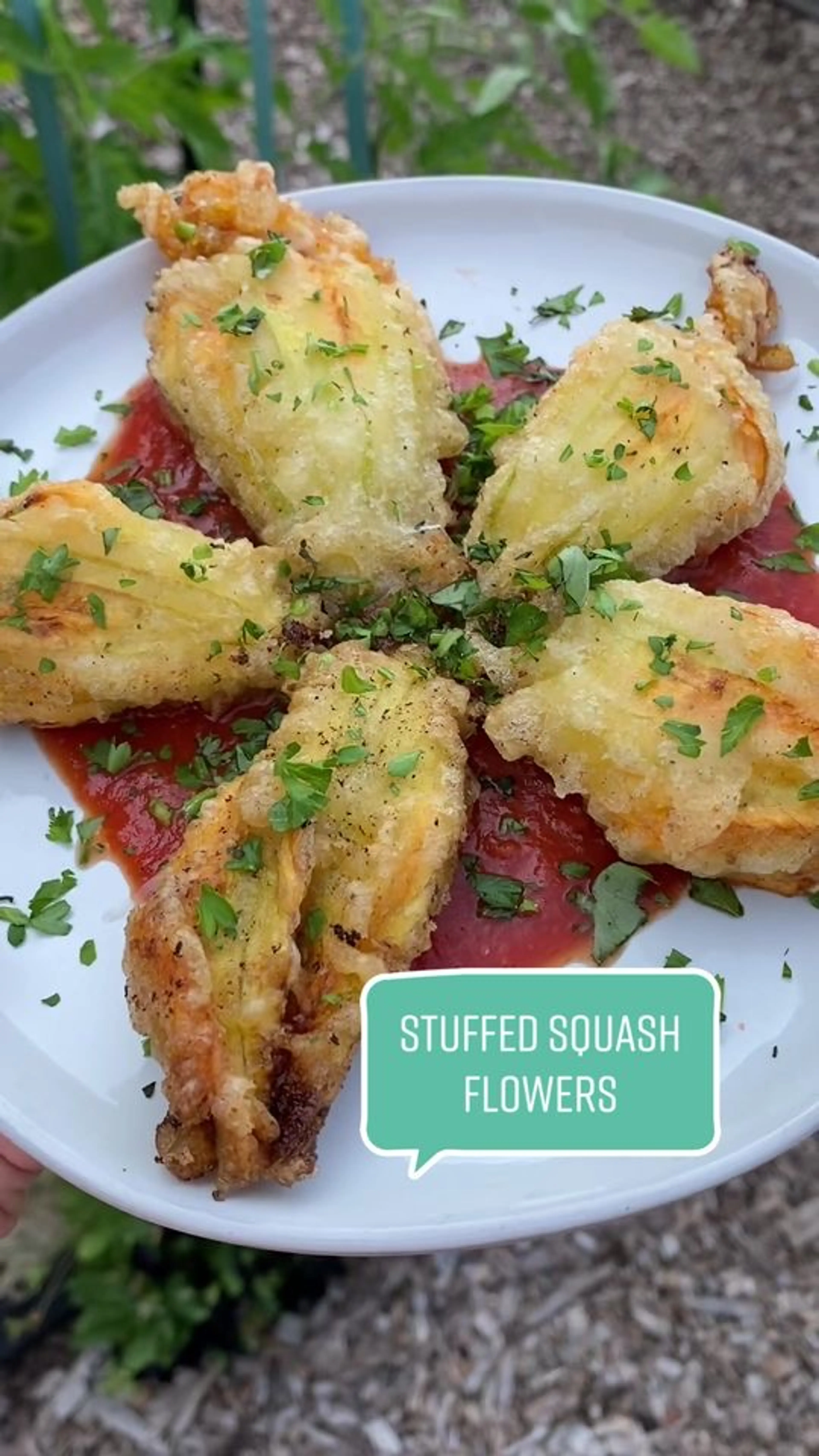 Stuffed Squash Flowers