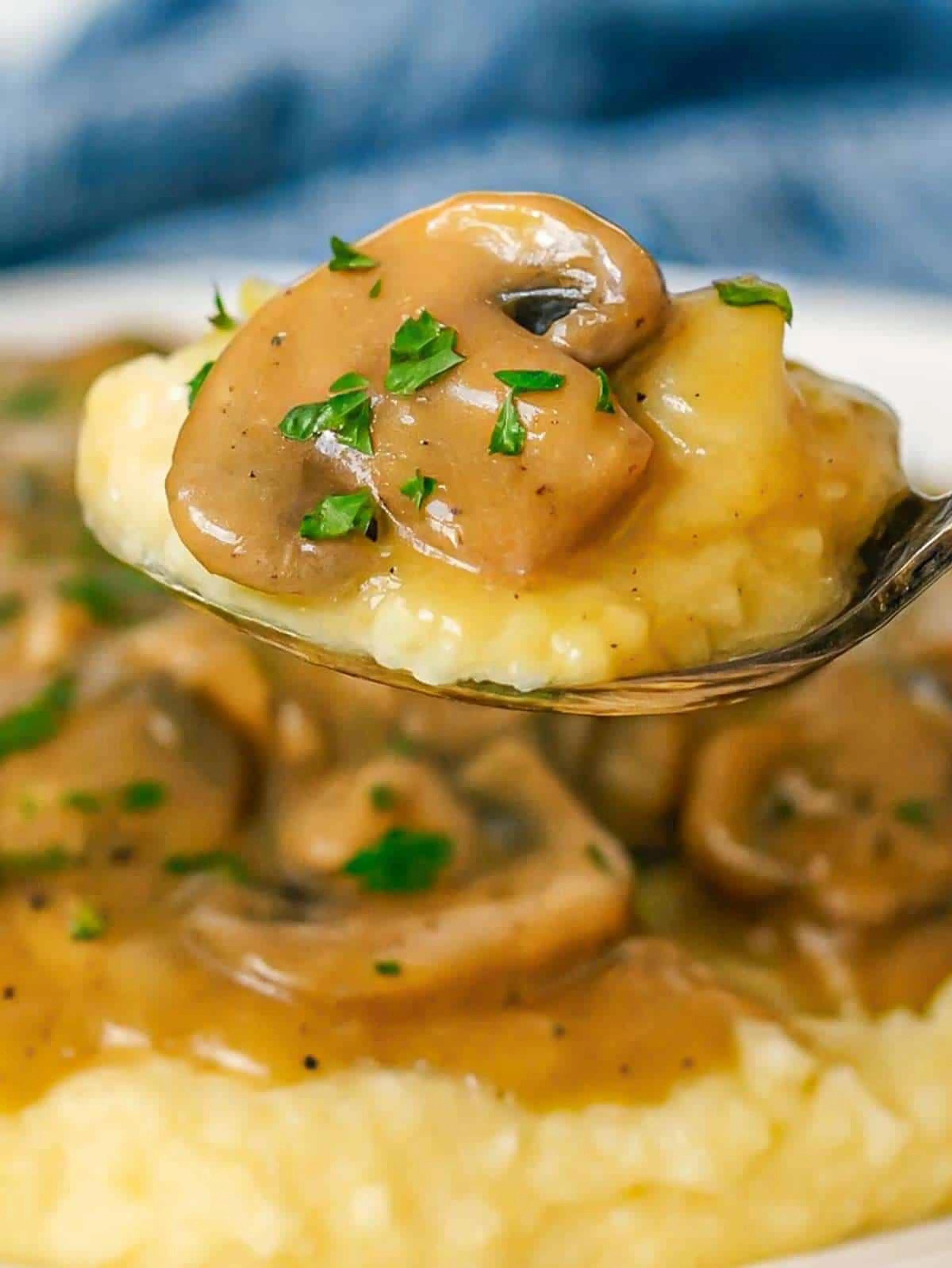 Easy Mushroom Sauce (Without Cream)