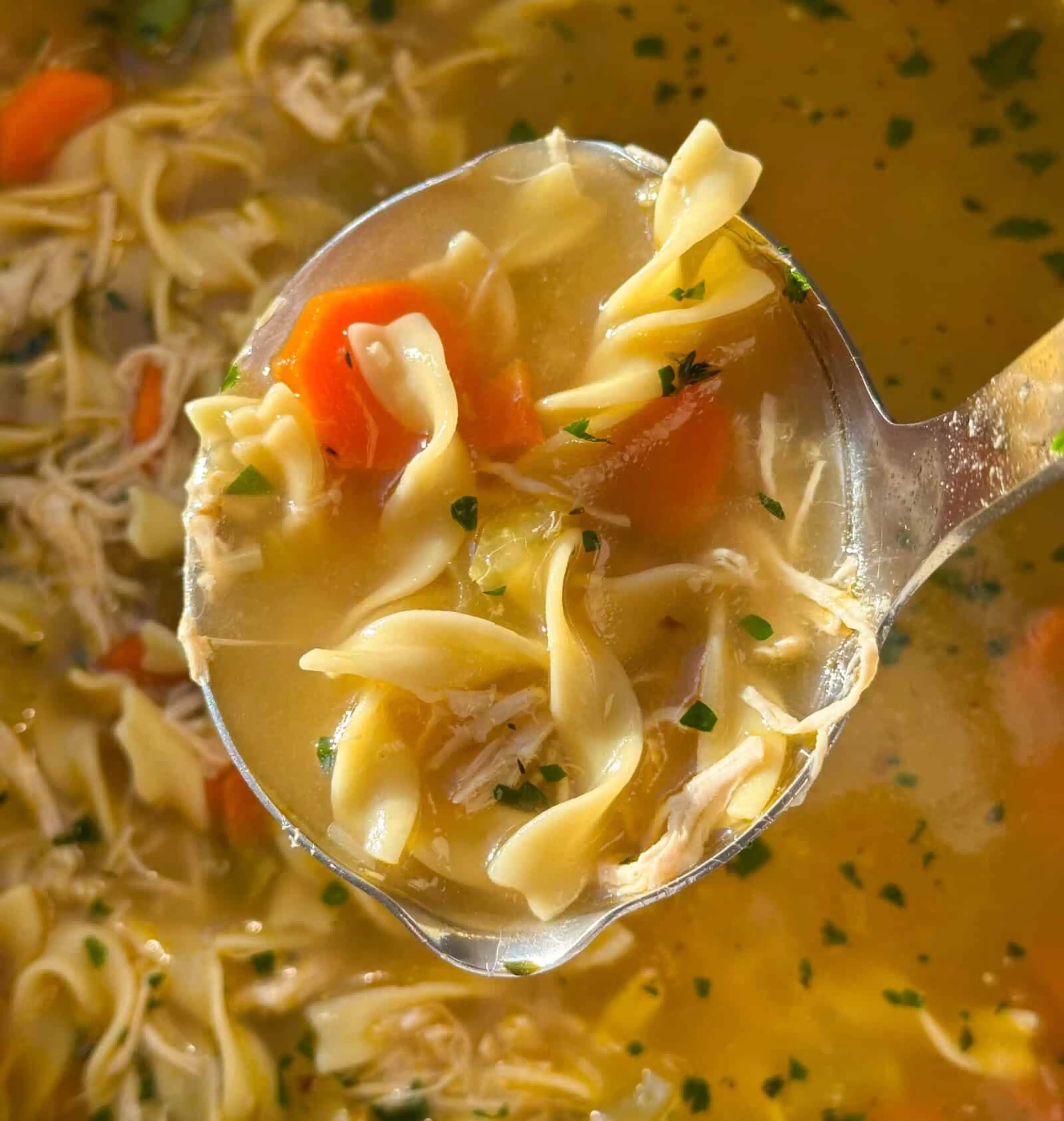 Easy Chicken Noodle Soup