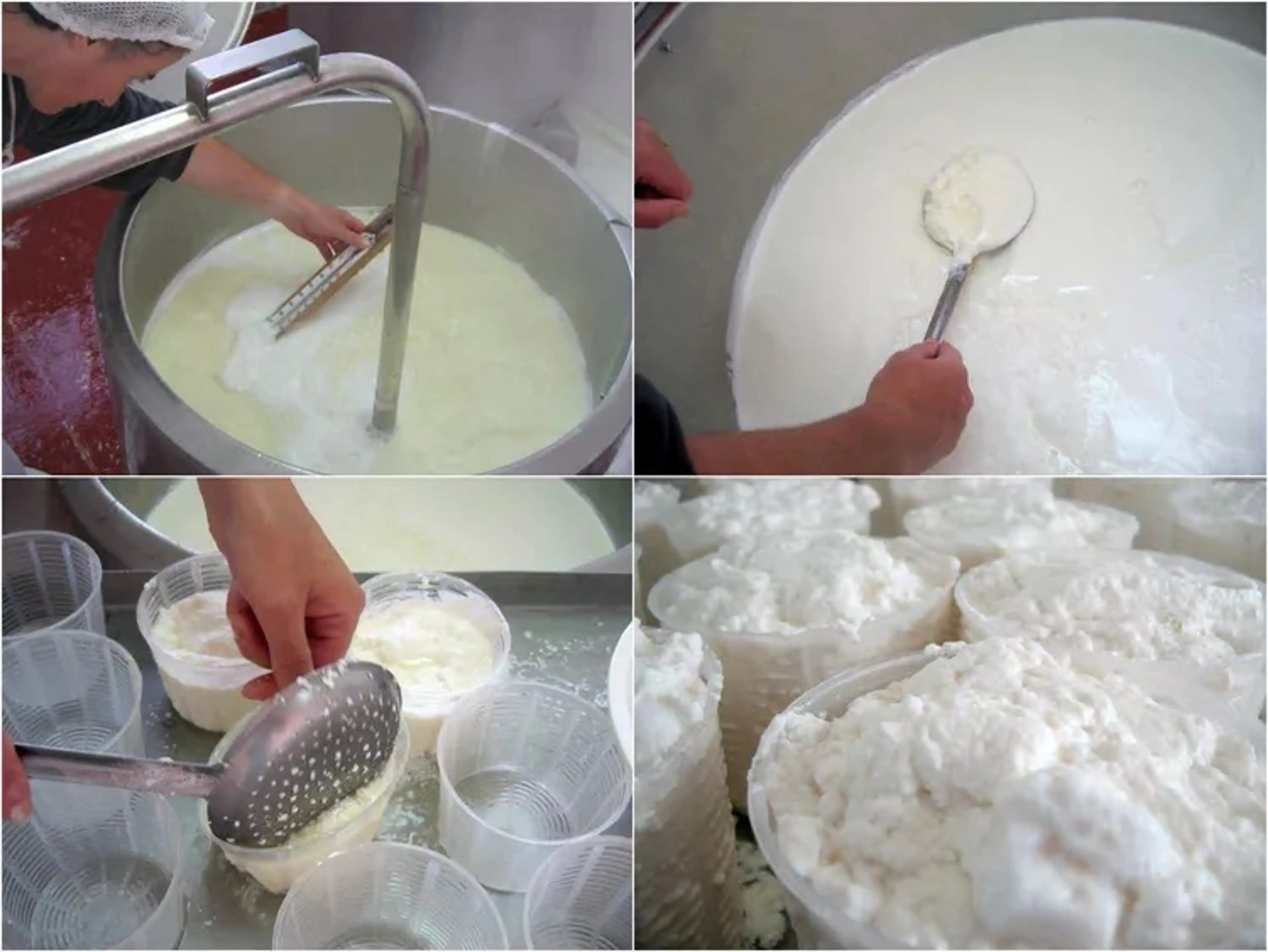 Homemade Ricotta Recipe, Then Whipped