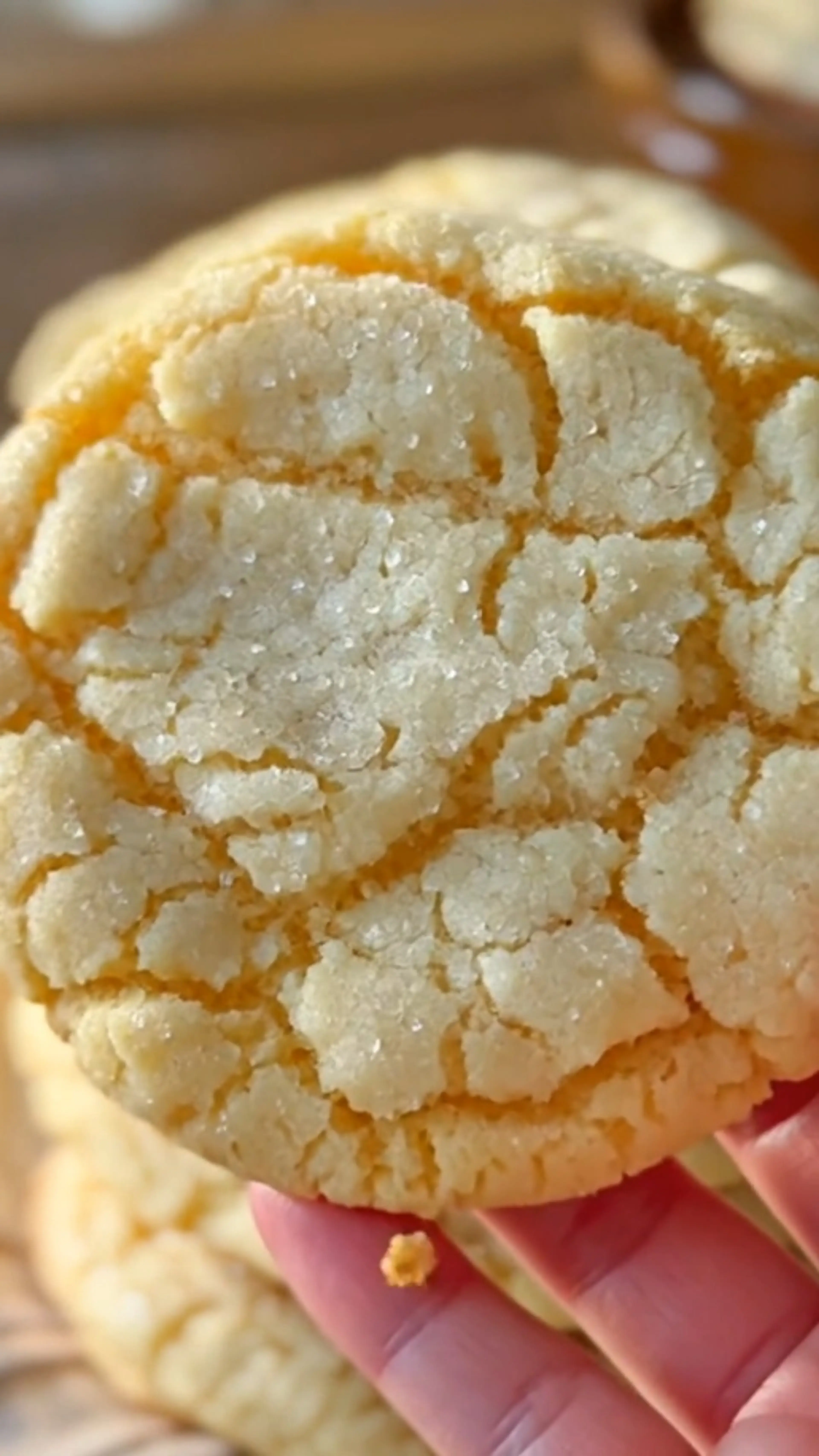 Cream Cheese Sugar Cookies (soft Batch