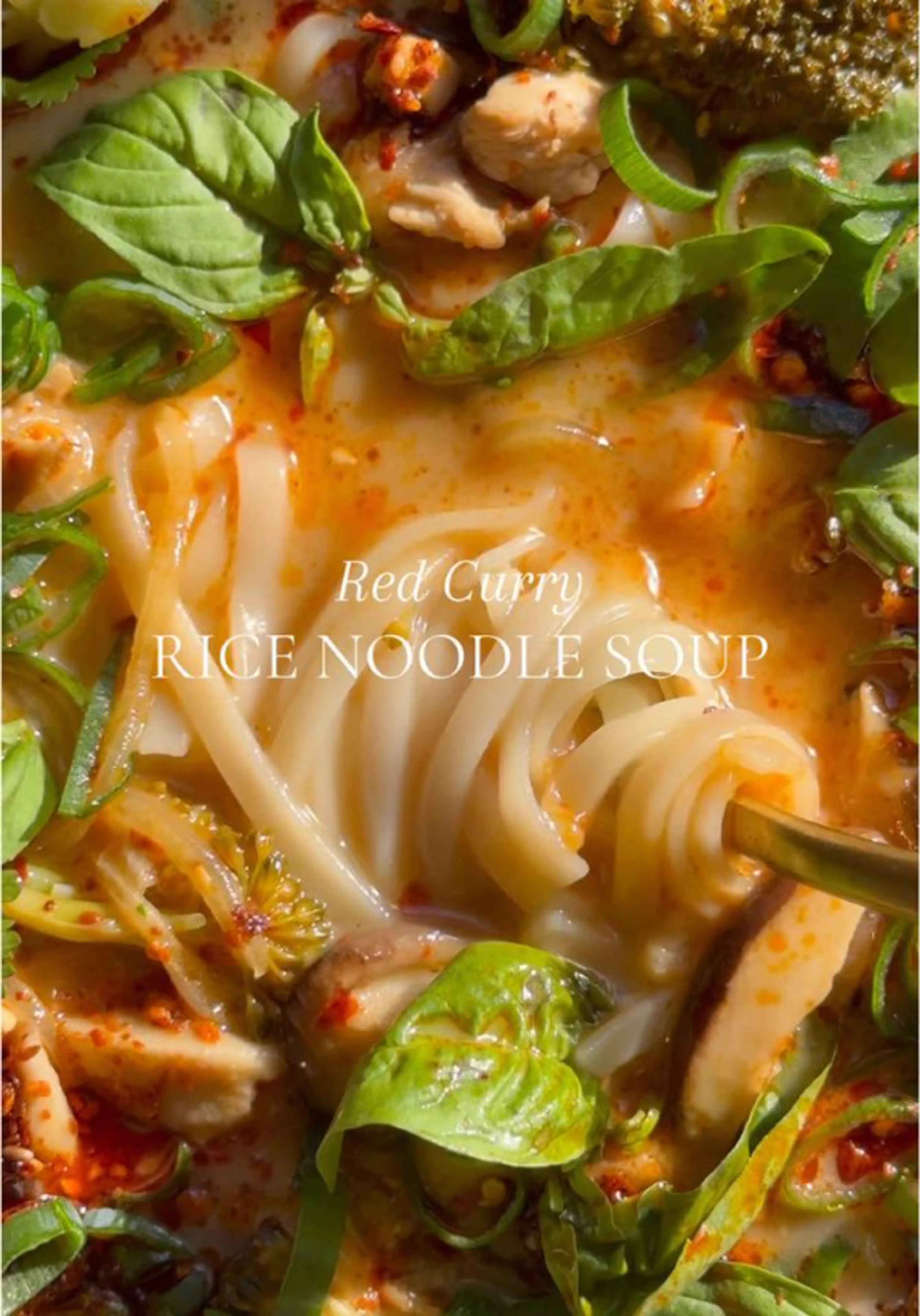 Red Curry Rice Noodle Soup