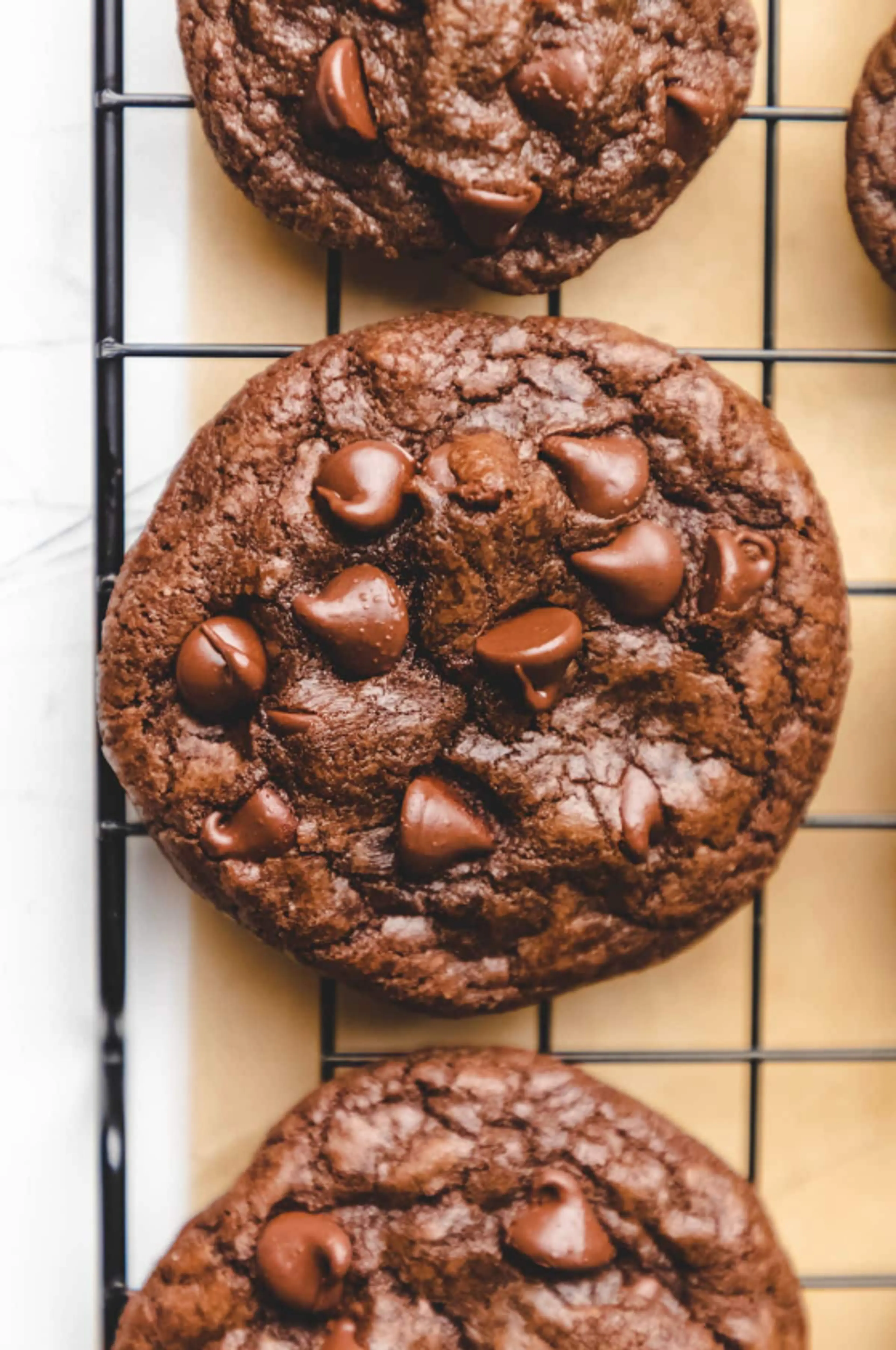 Easy Chocolate Chocolate Chip Cookies