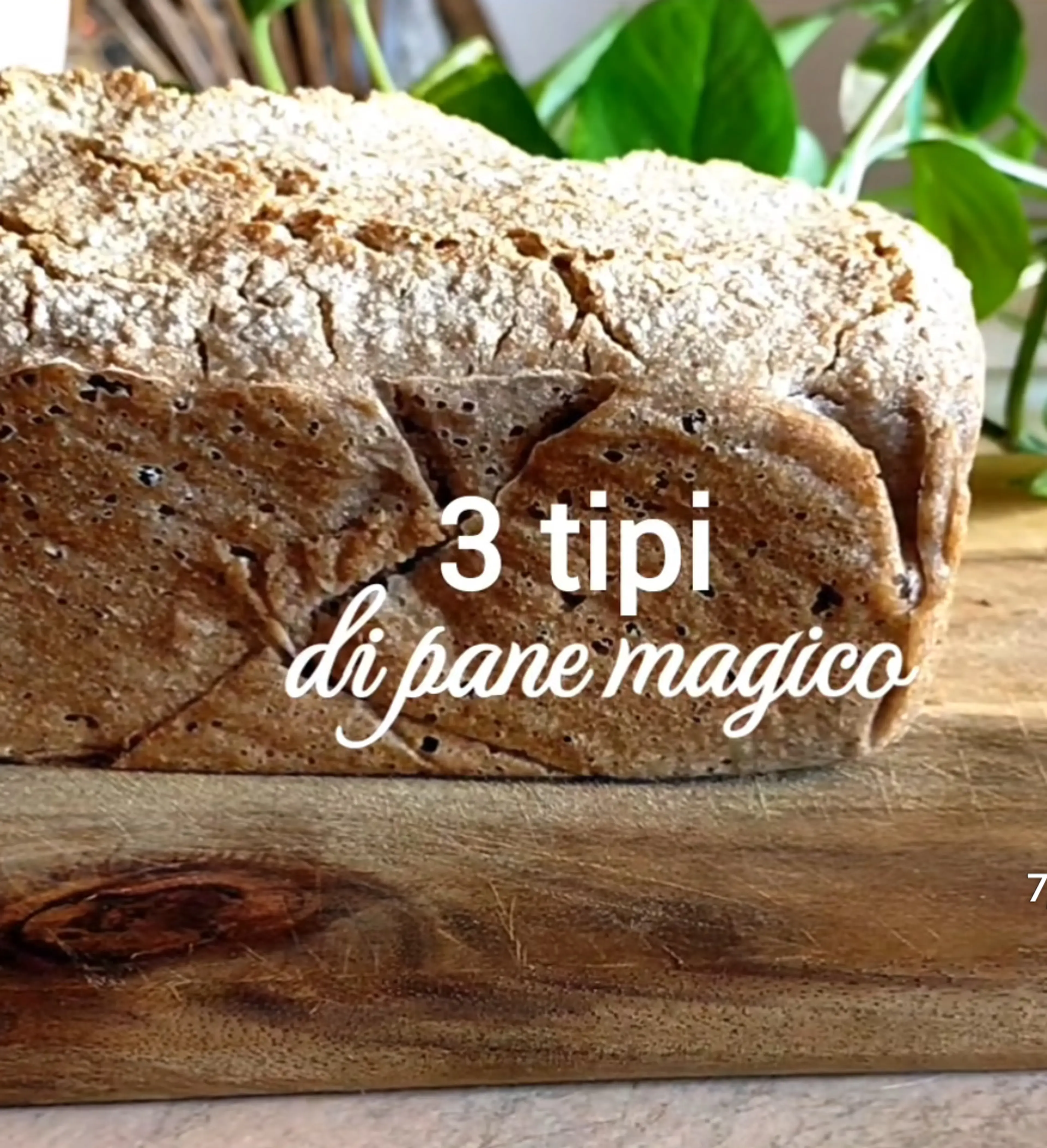 Pane Di Quinoa