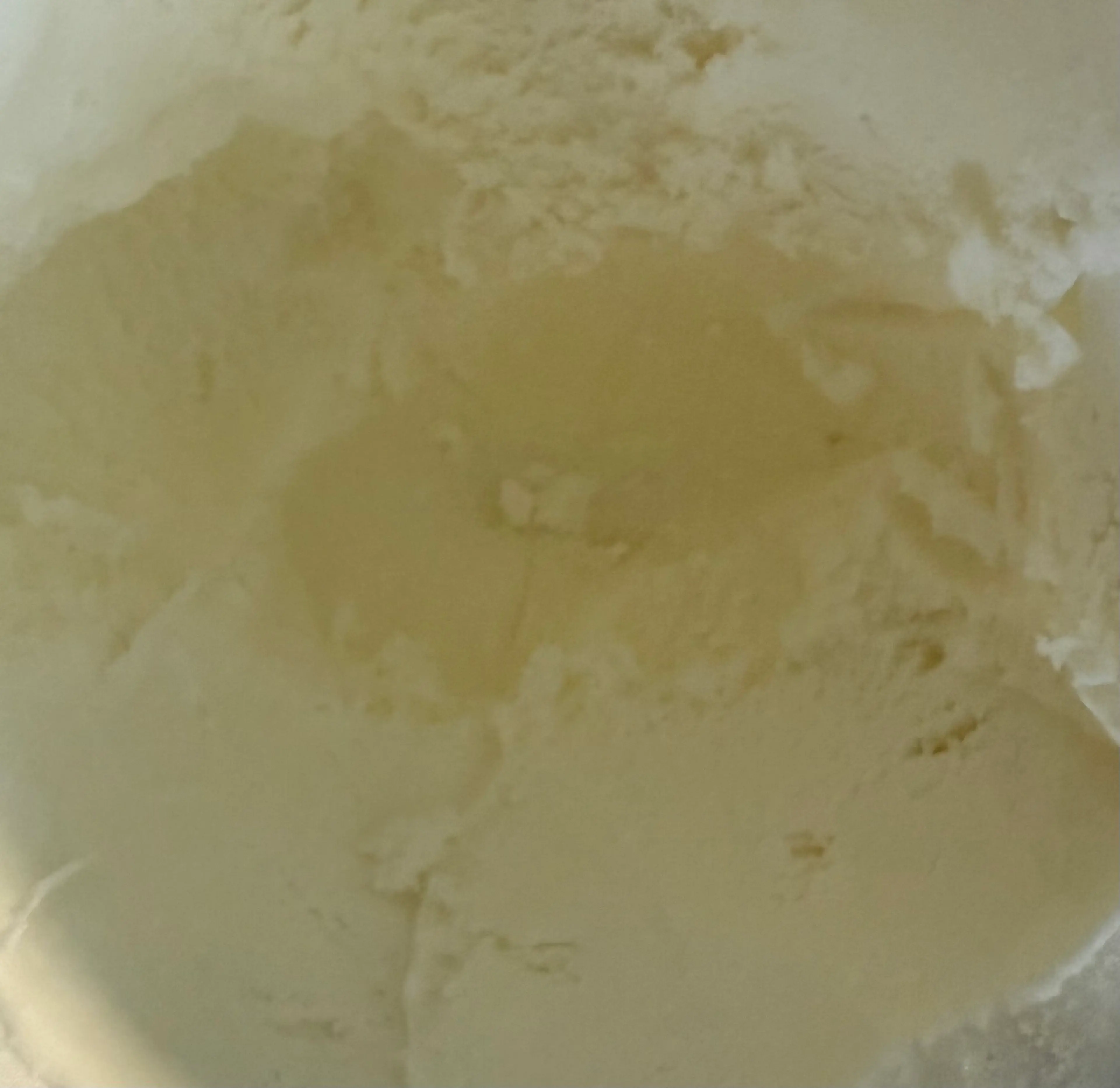 Vanilla Ice Cream