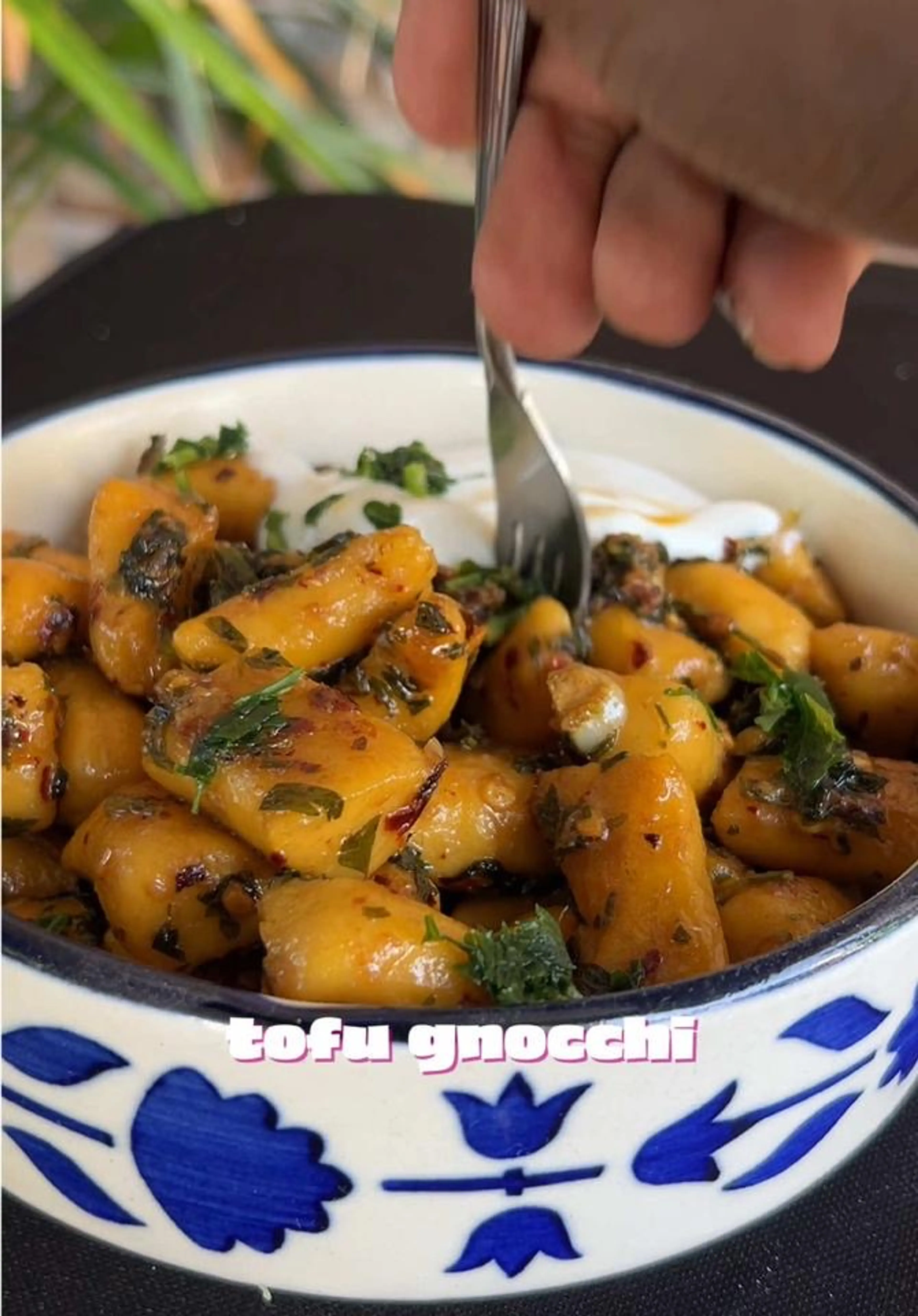 Gluten Free Tofu Gnocchi X