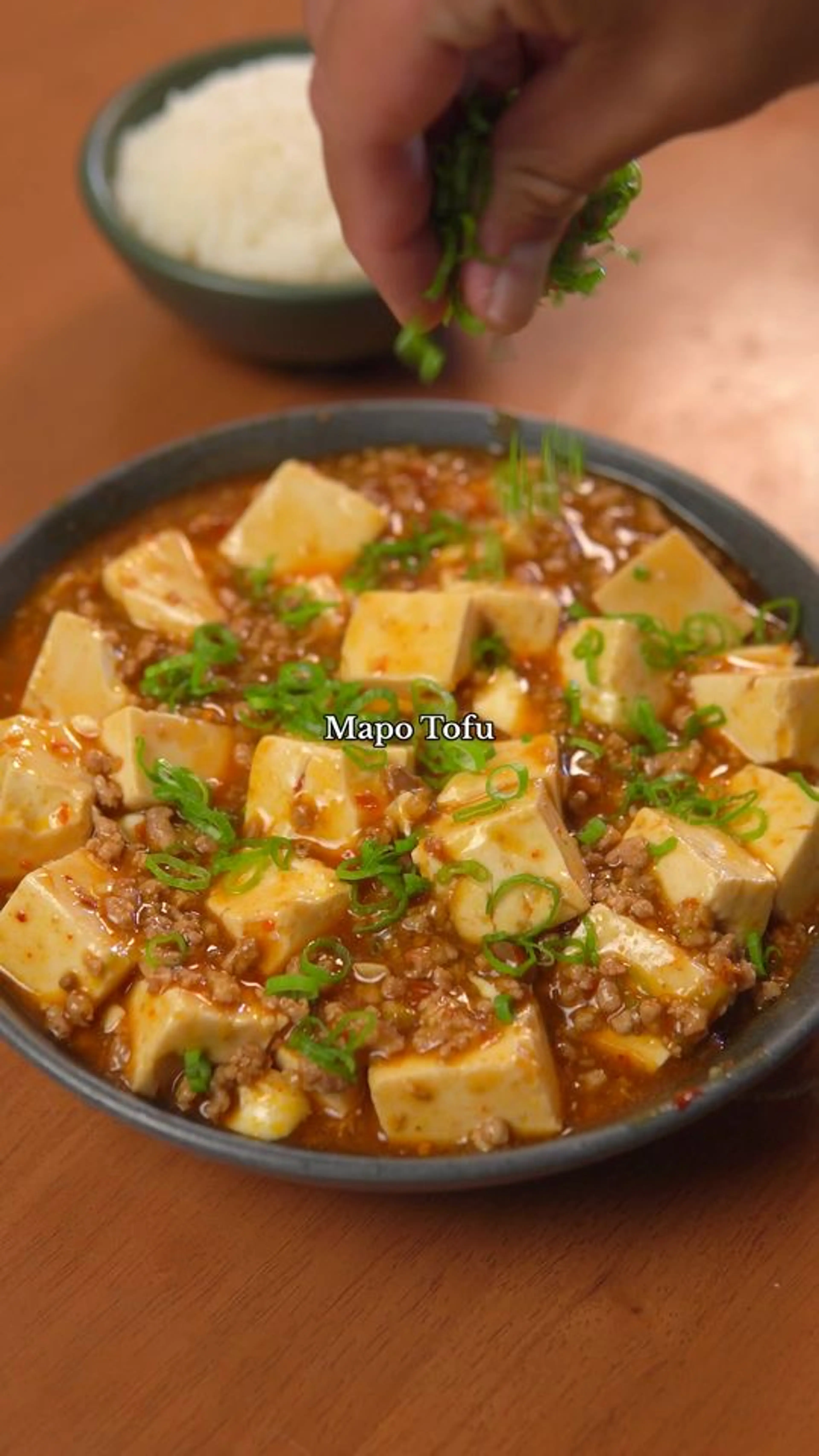 Mapo Tofu