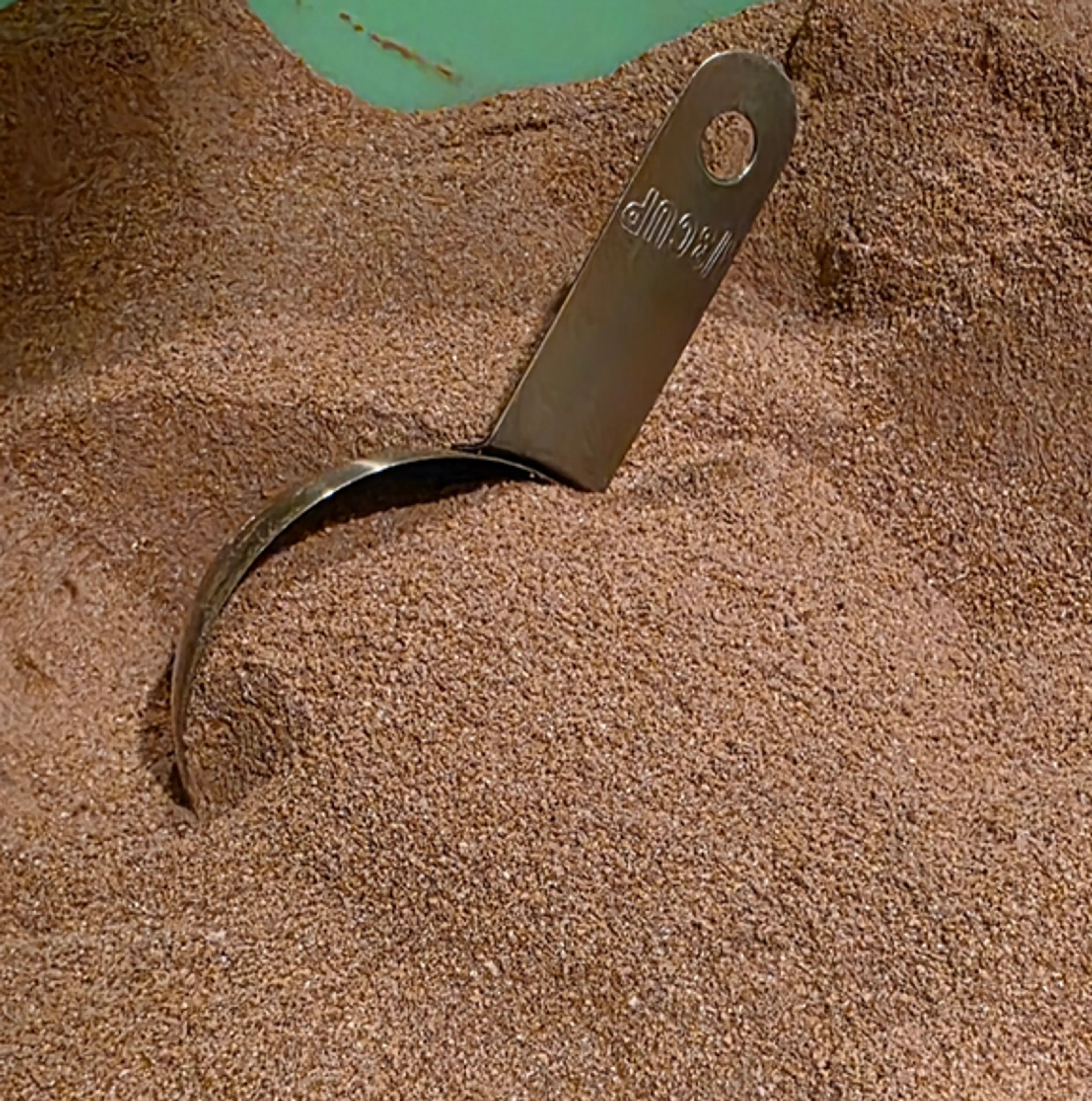 Instant Hot Chocolate 2025