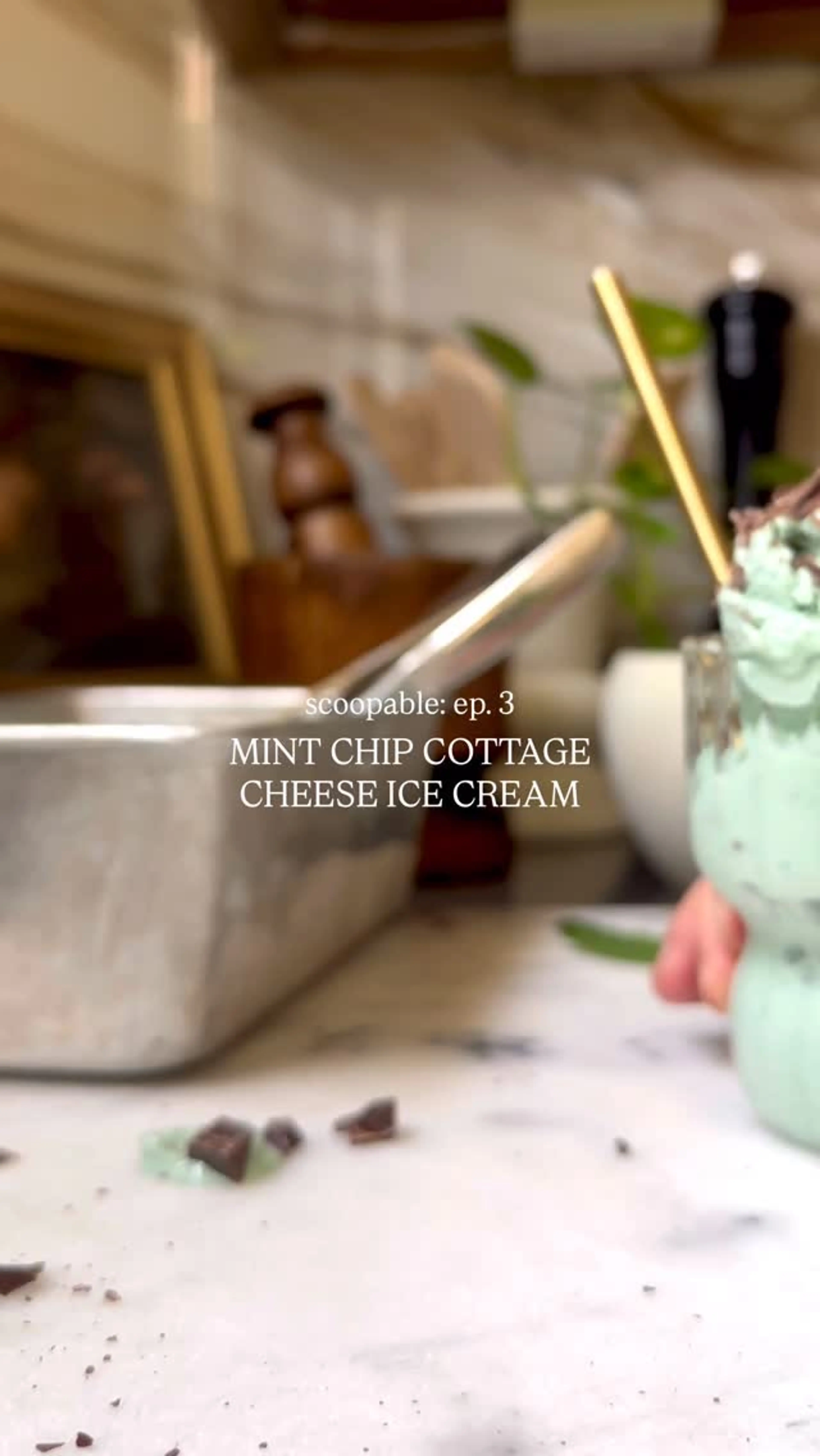 Mint Chip Everything