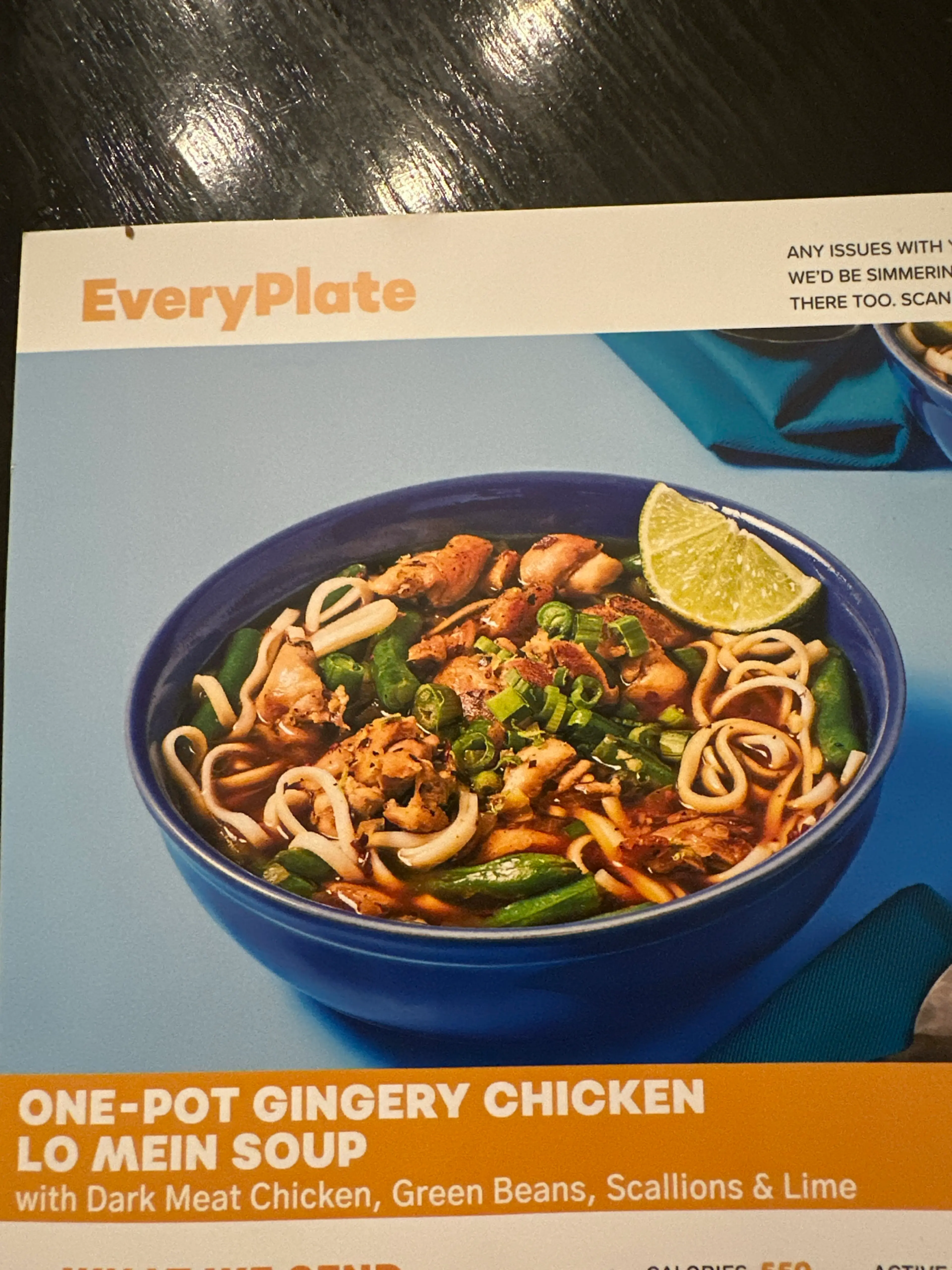 Gingery Chicken Lo Mein Soup