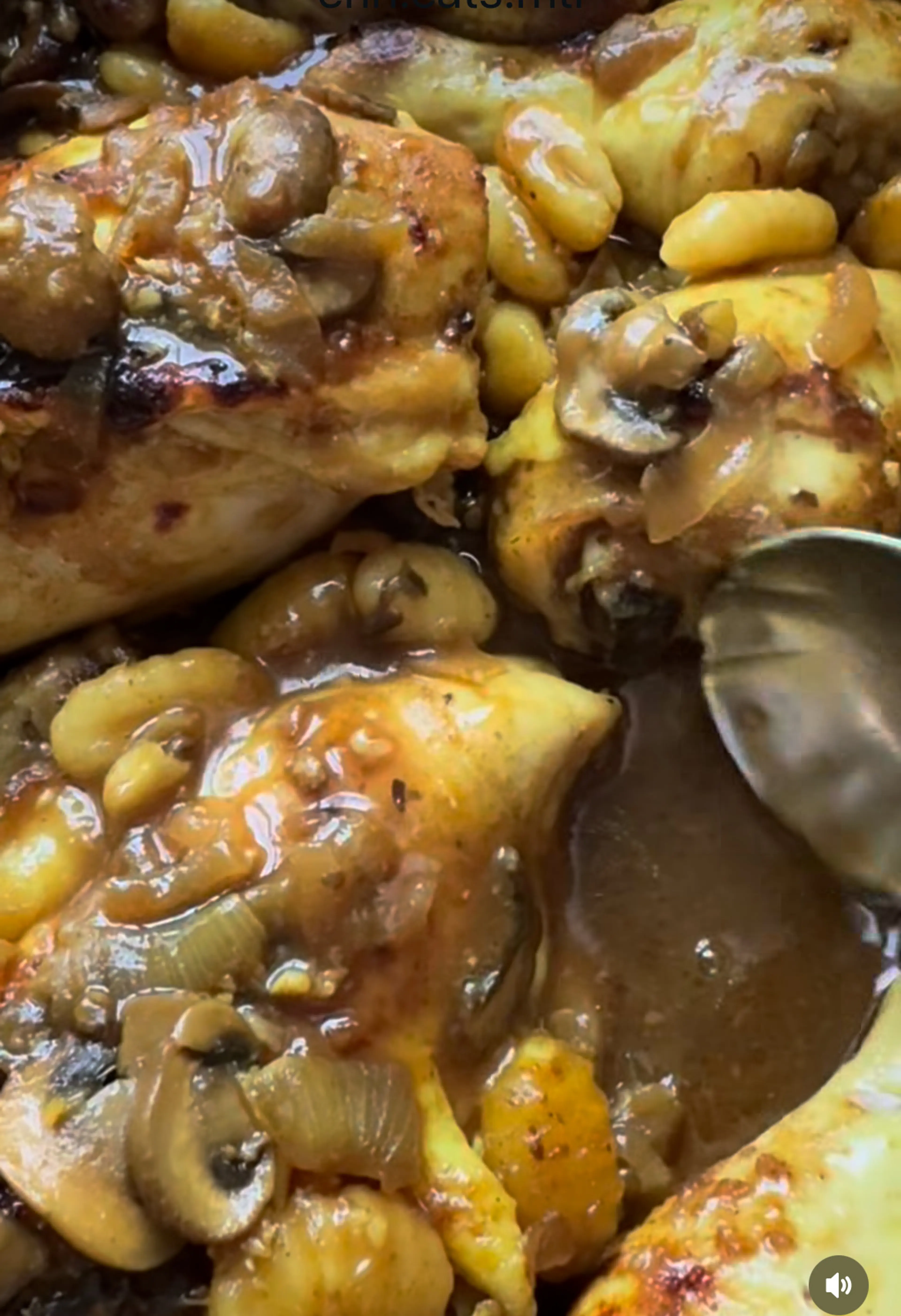 Talia's Chicken @erin.eats.mtl