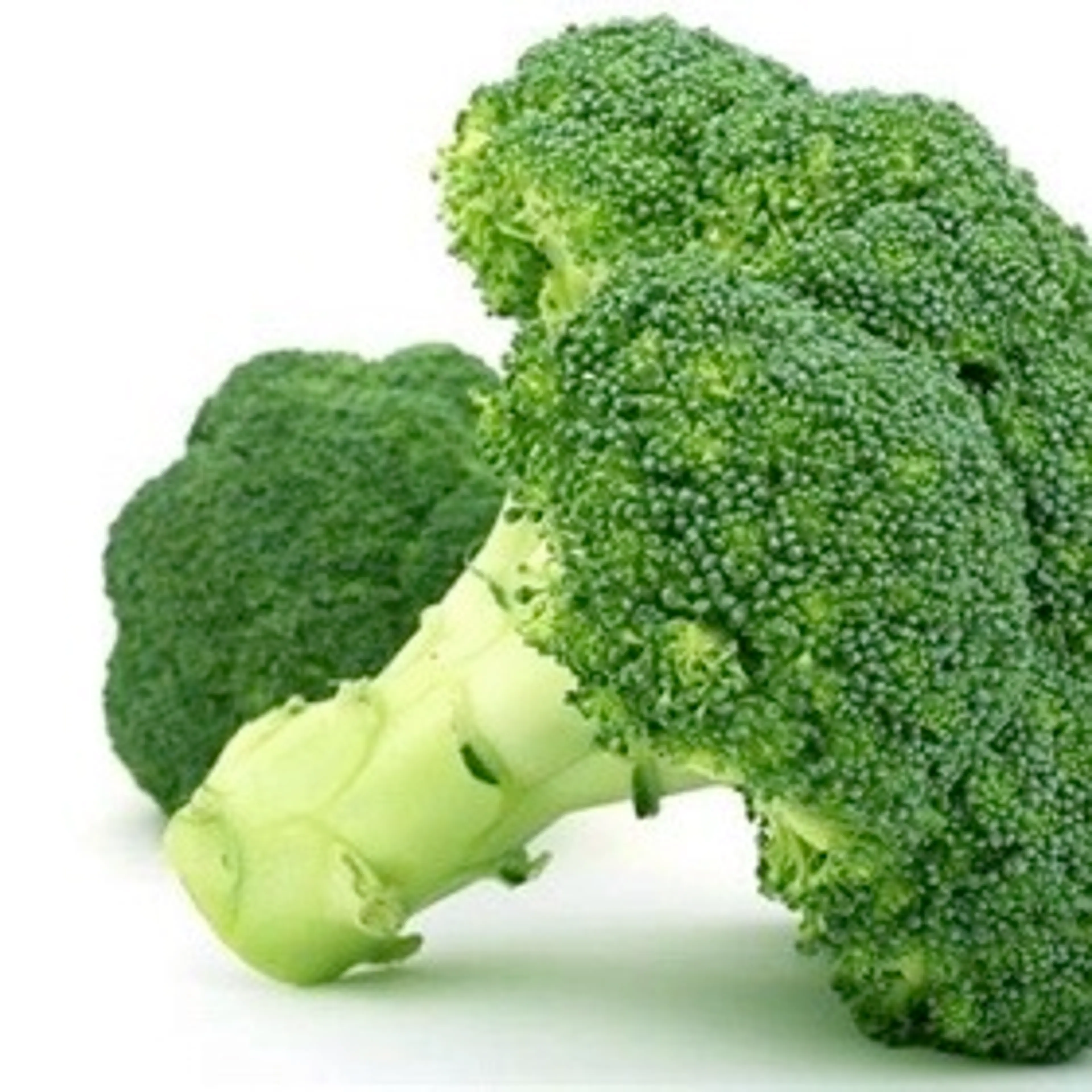 Broccoli Jennifer