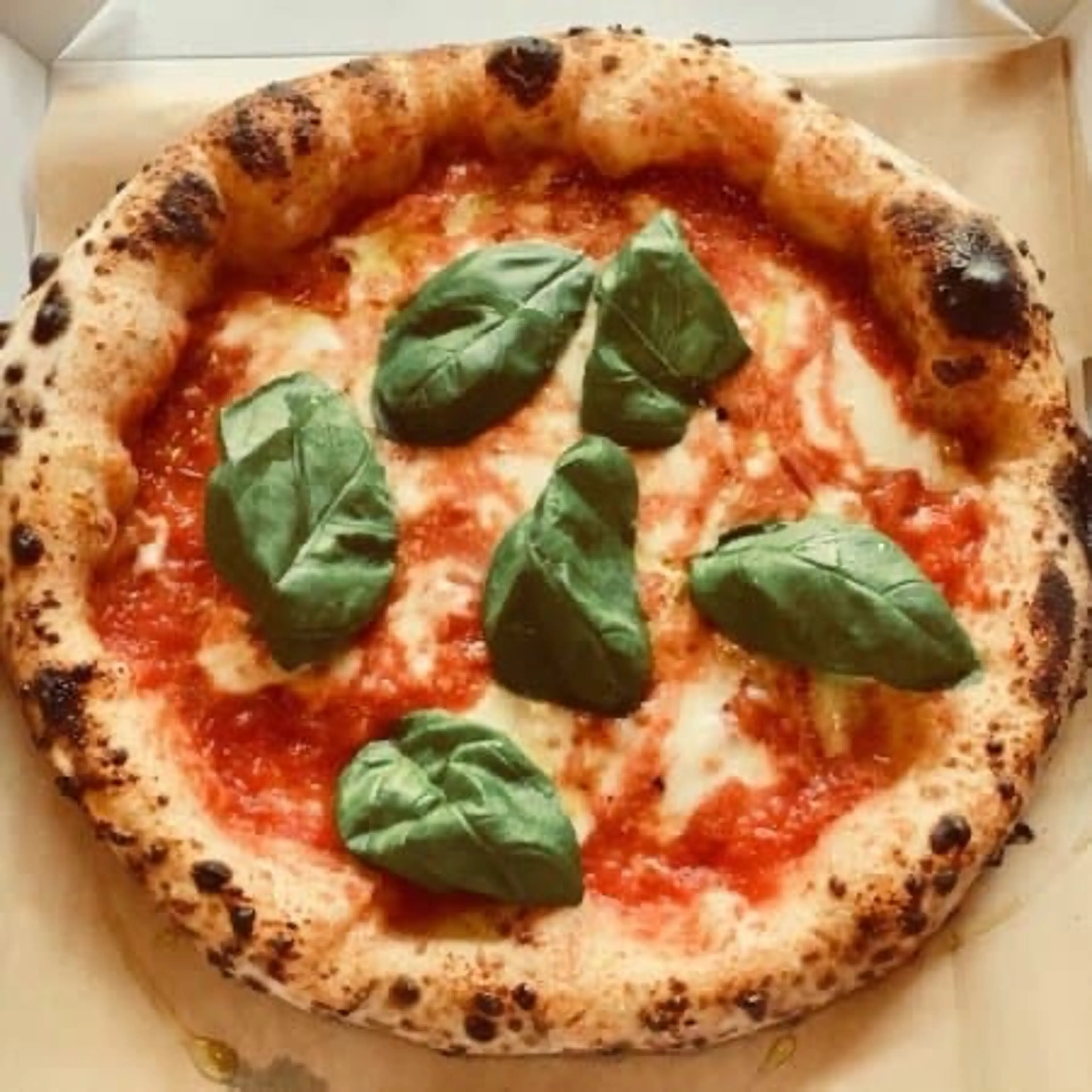 Authentic Neapolitan Pizza Recipe