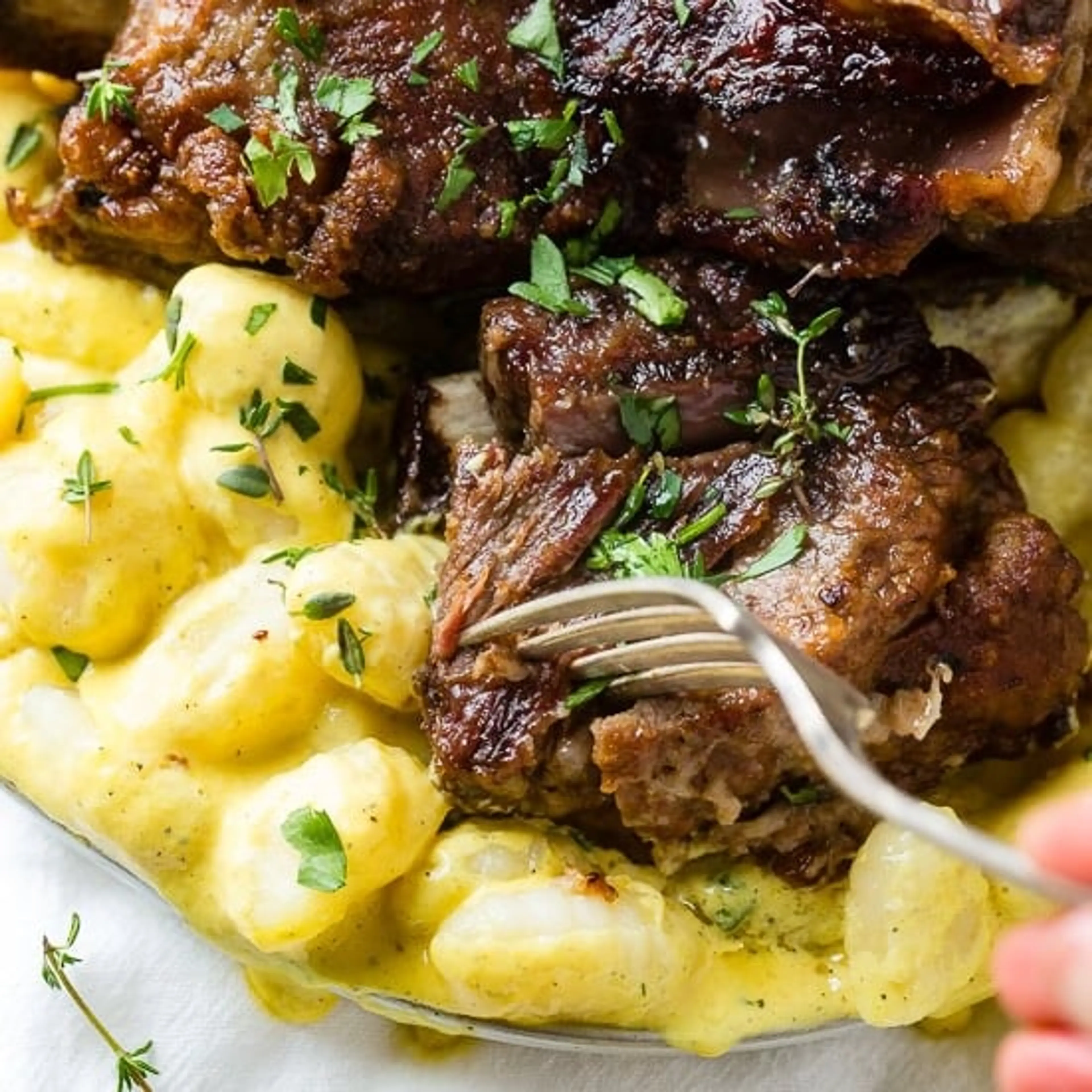 Beef Short Ribs with Charred Pepper Cream Gnocchi