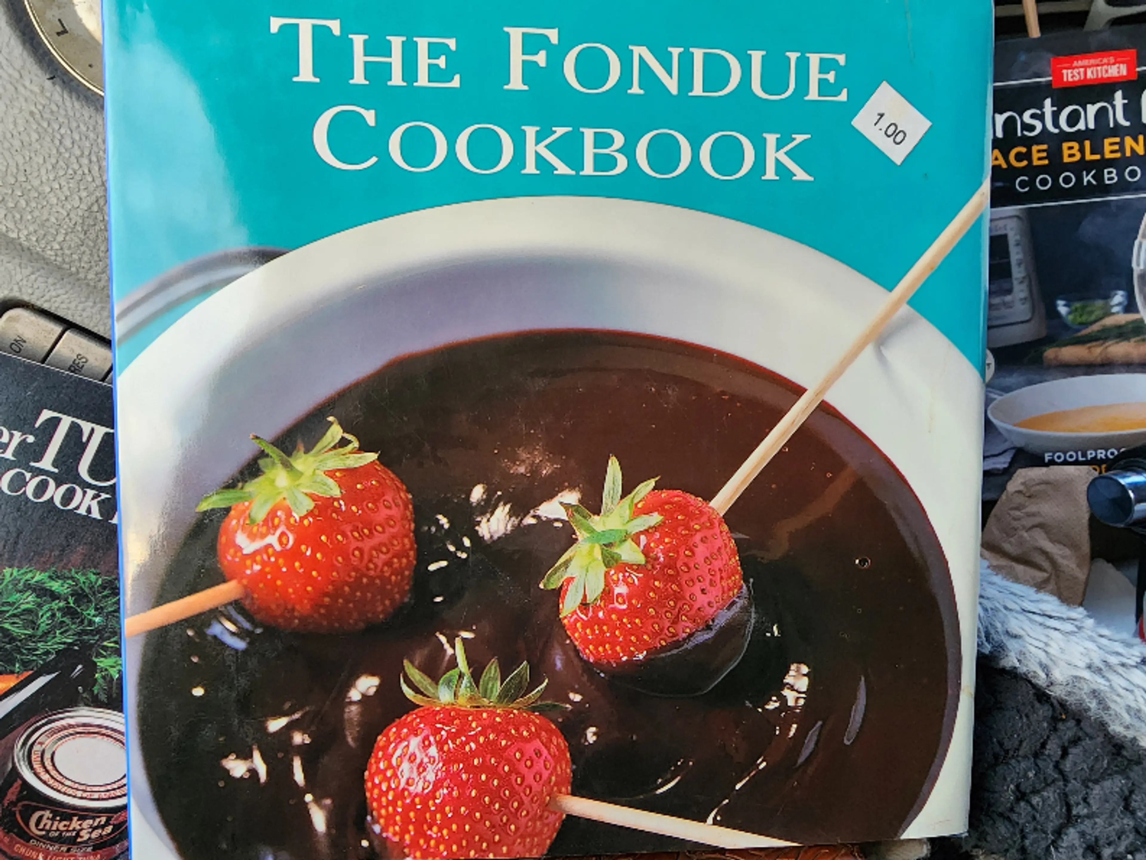 Meat And Poultry Fondue Tips