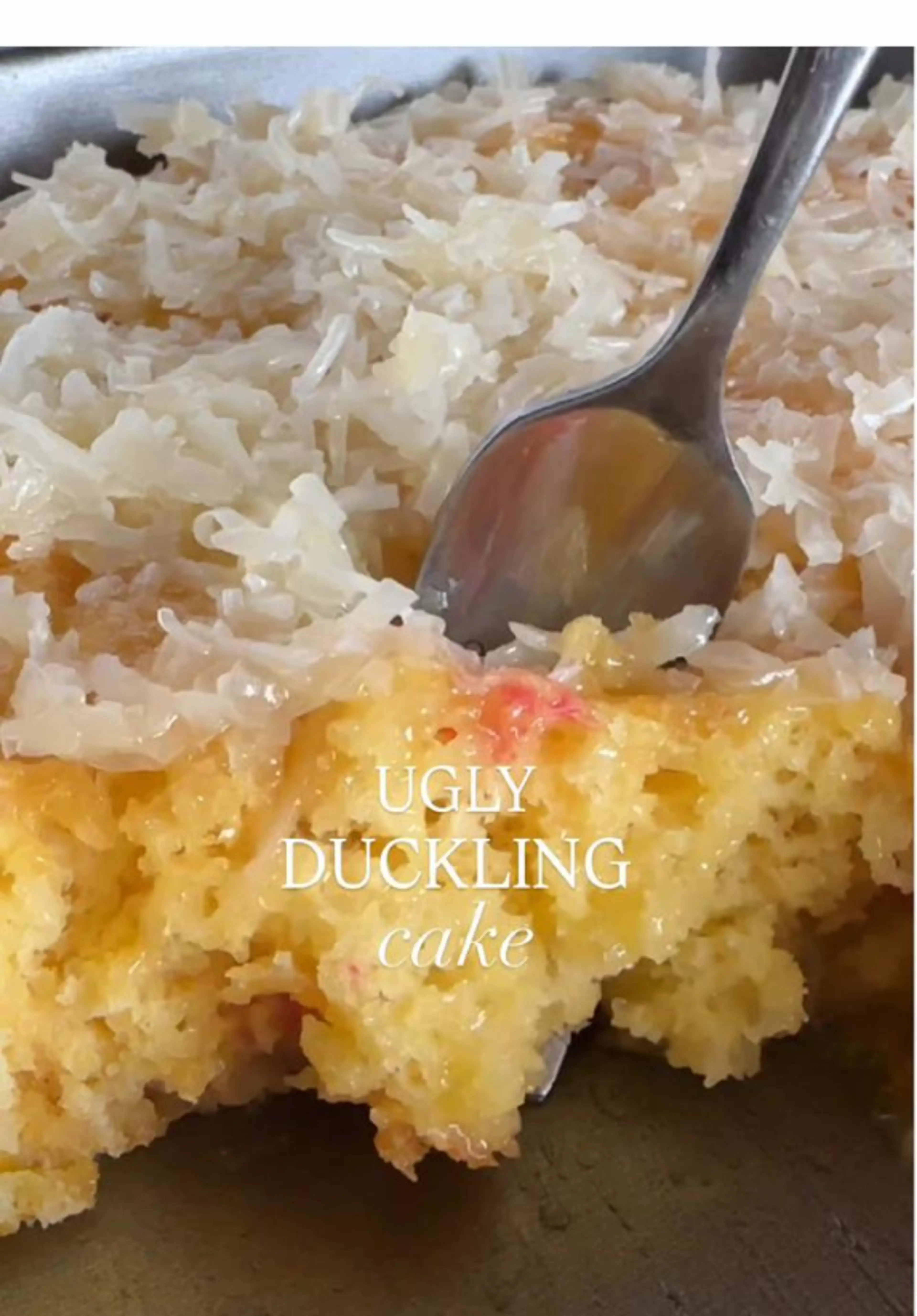 Ugly Duckling Cake