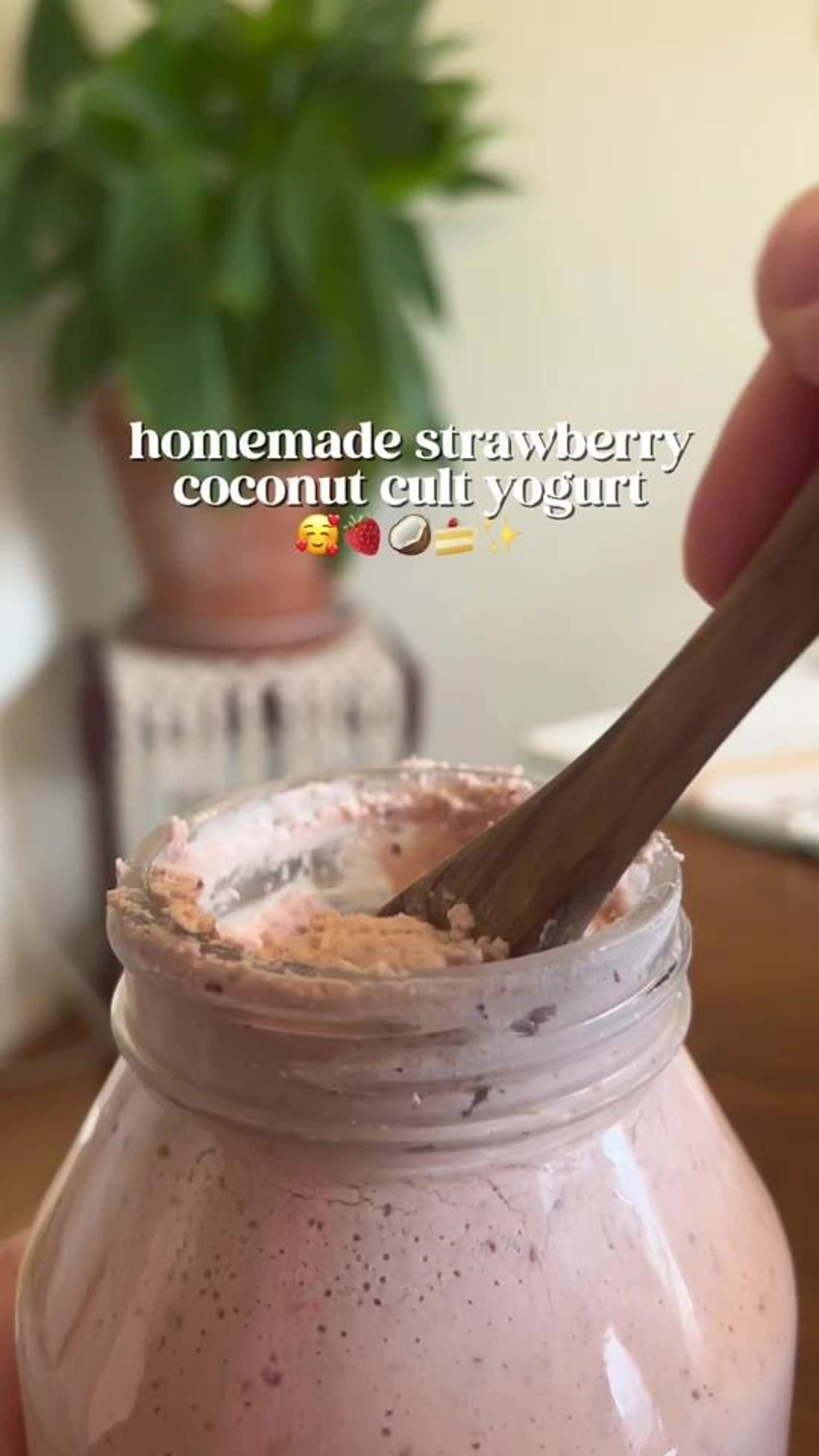 Calling All Coconut Cult Lovers