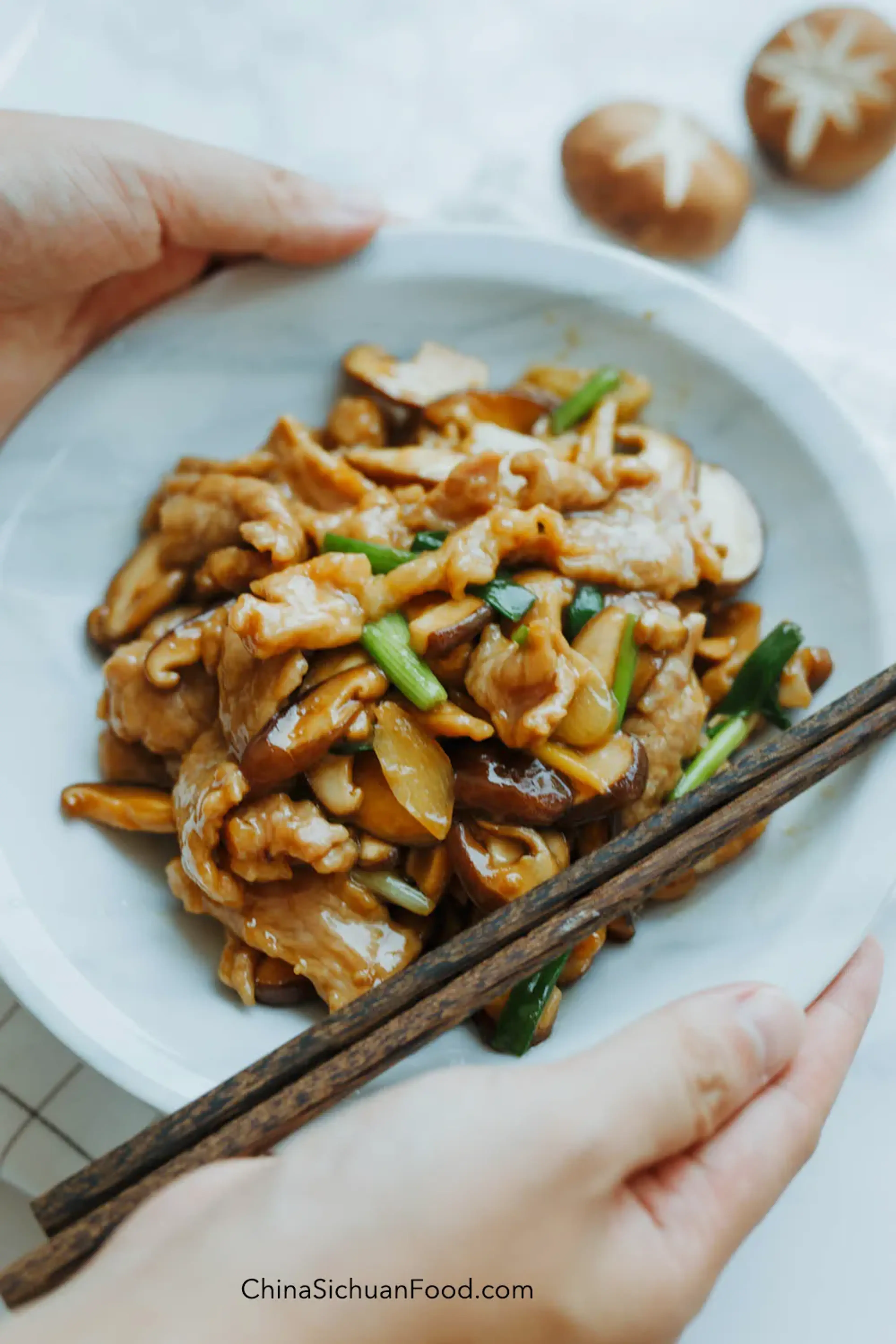 Pork and Mushroom Stir Fry