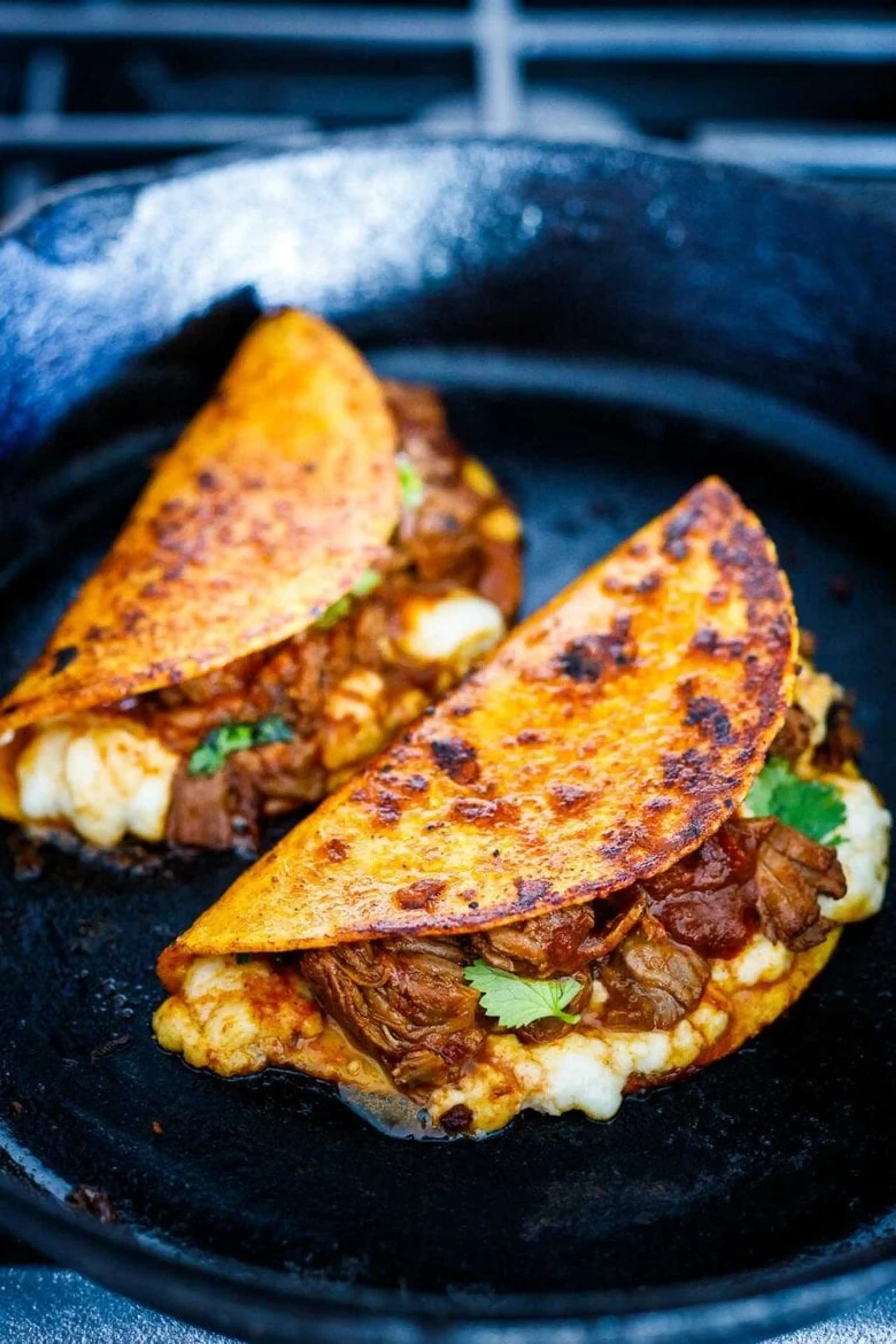 Beef Birria Meat Recipe (Stovetop or Instant Pot)